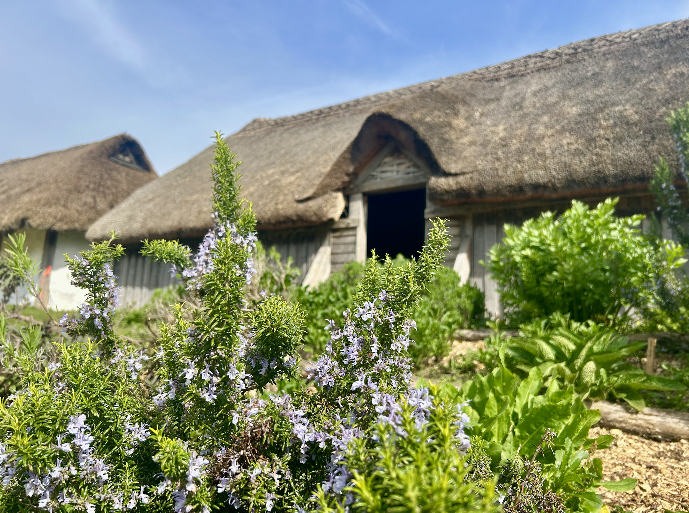 Turning the Soil of Time