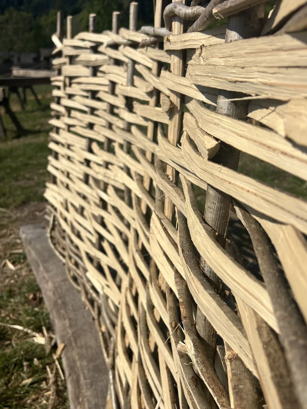 Finished+hazel+hurdle.webp