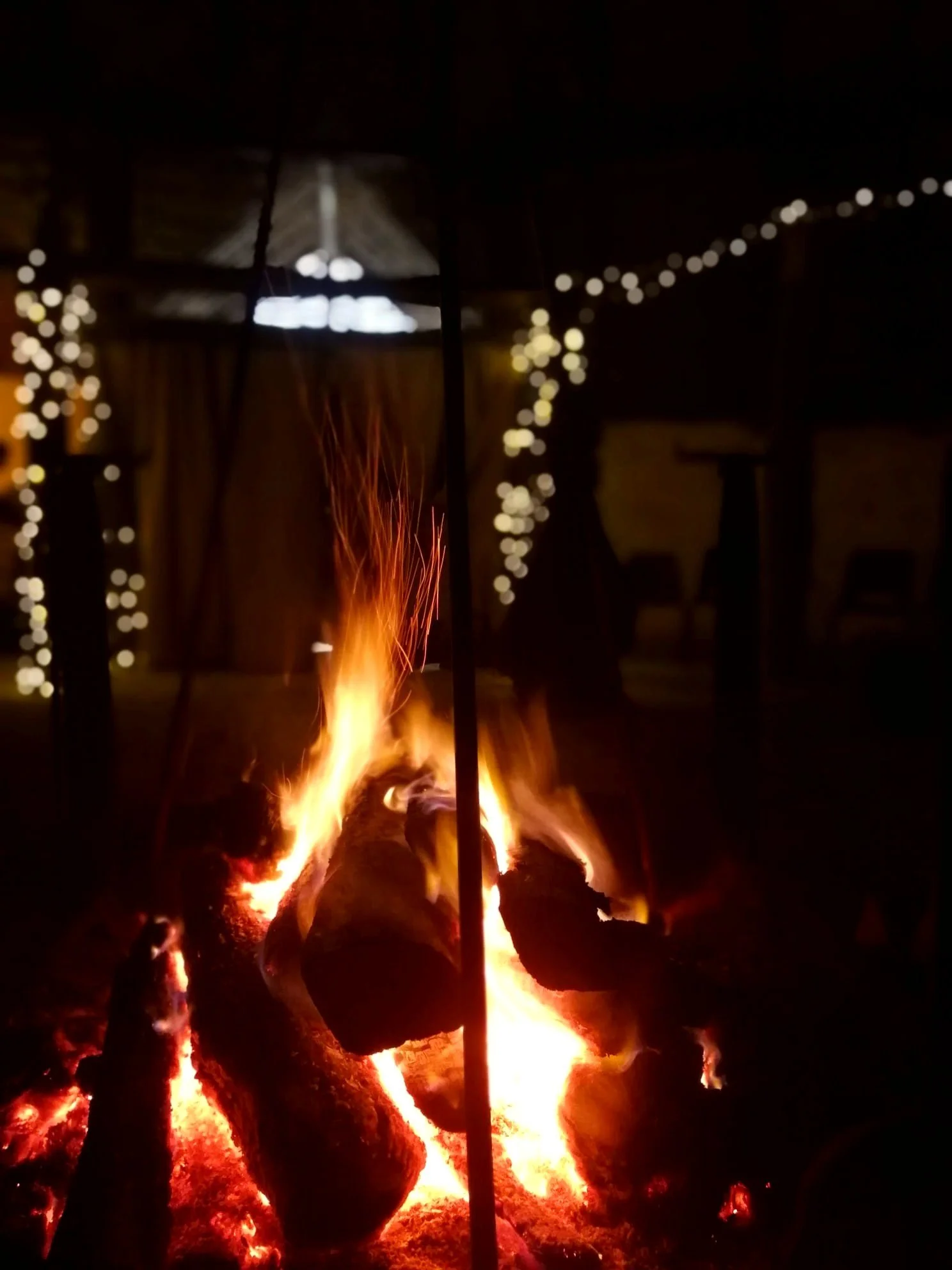 Festive Fire