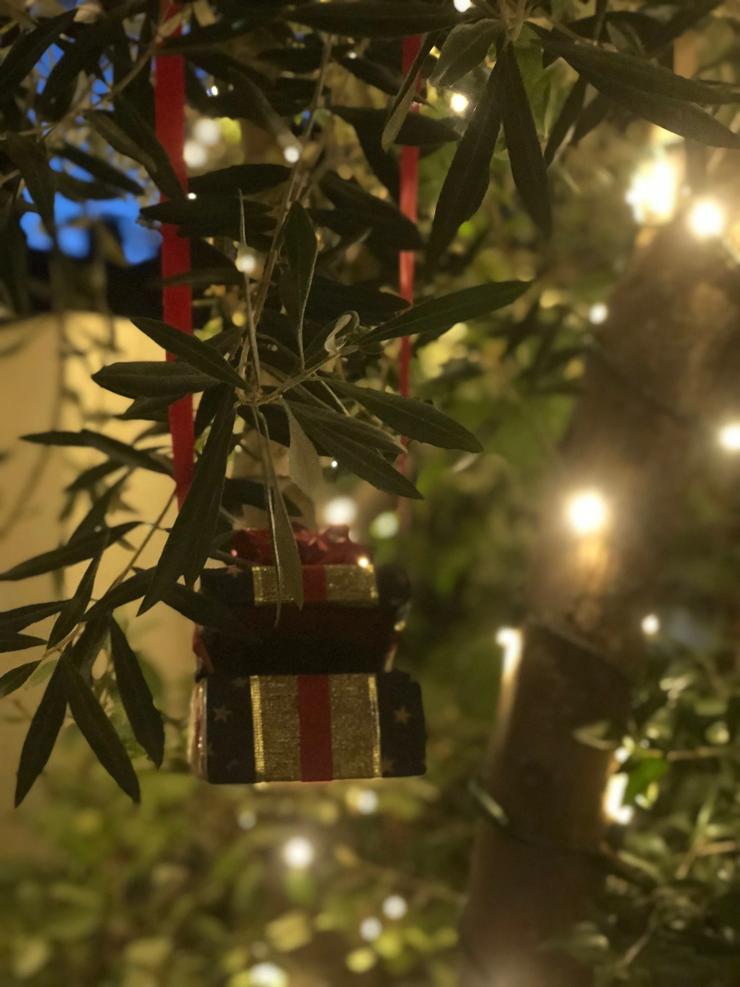 IMG_5040.jpeg