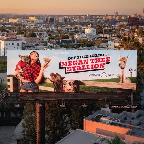 Megan Thee Stallion 'Off Thee Leash' - Art Direction
