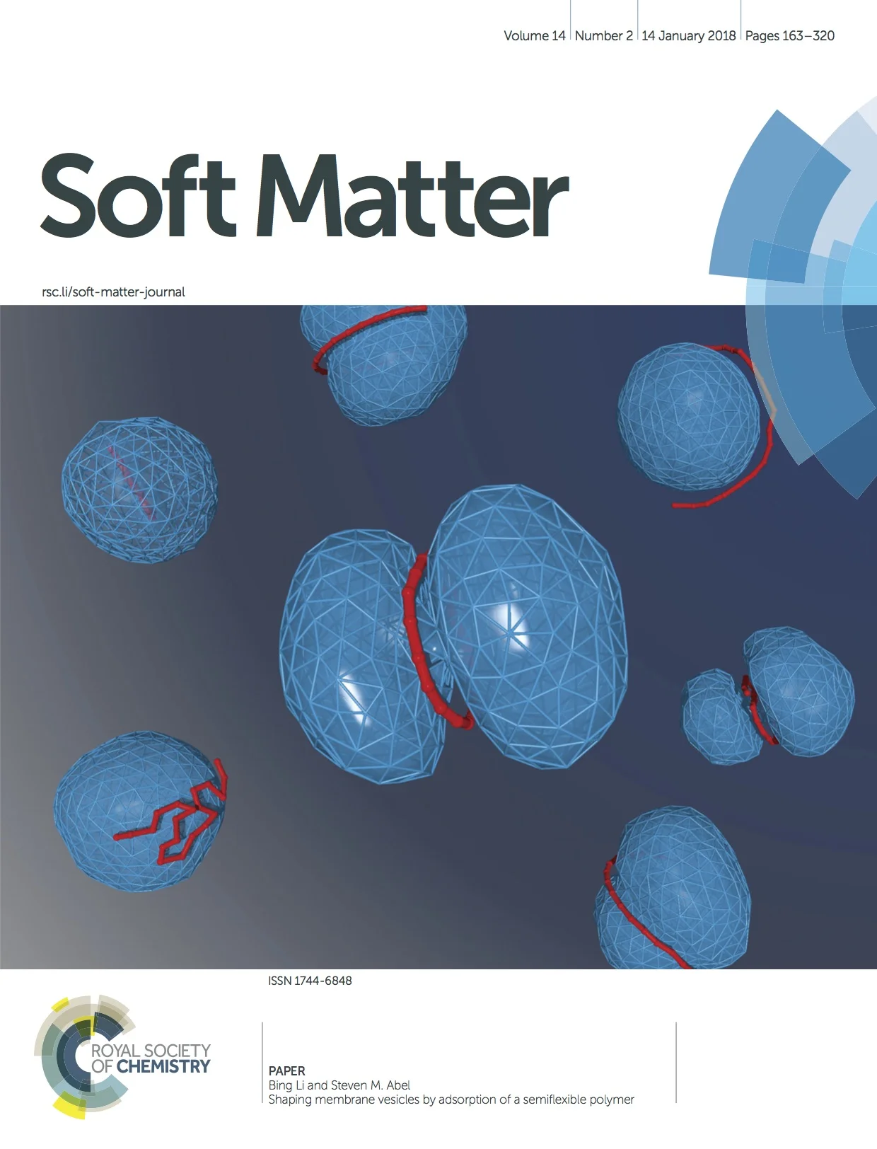 Li_Abel_SoftMatter_2018_front.jpg