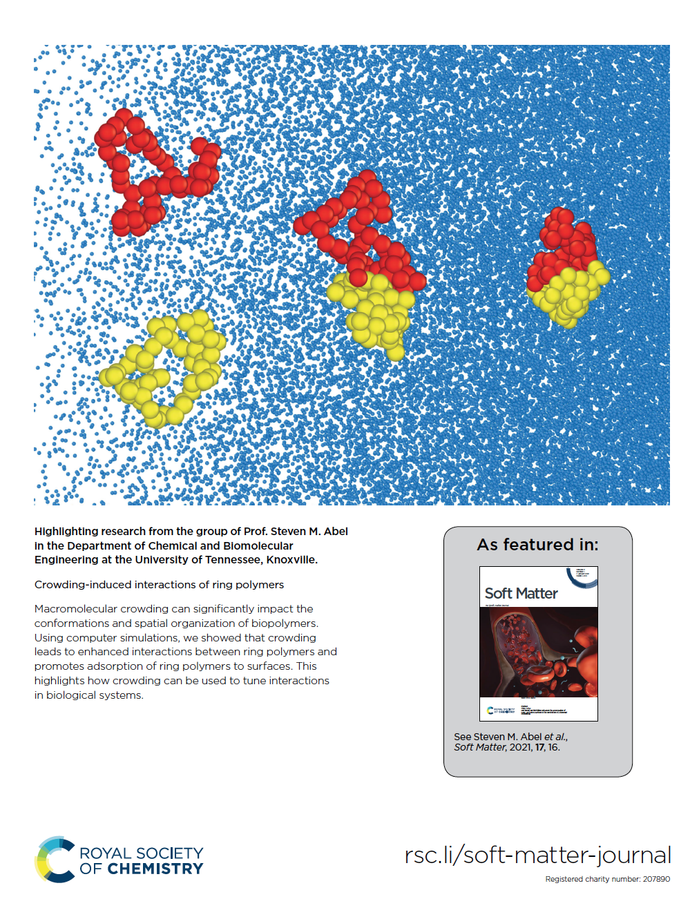 cover (screenshot).png