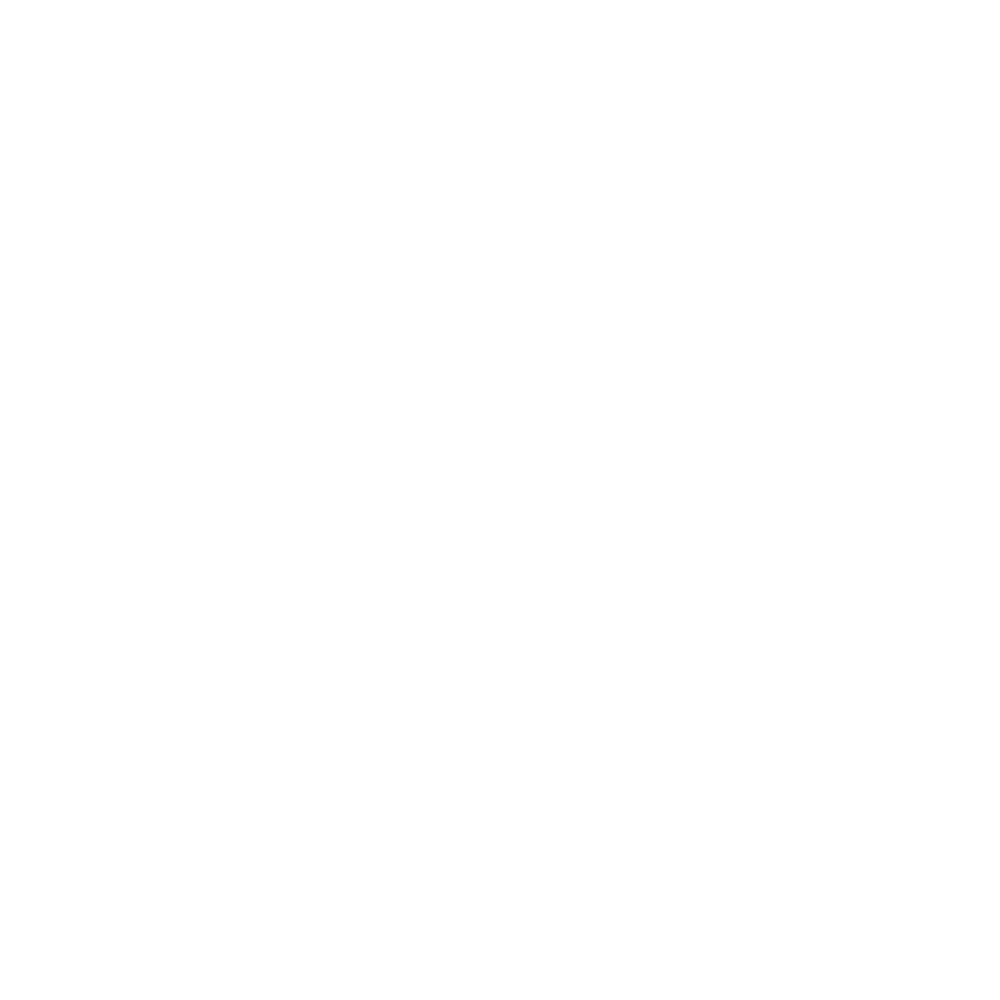 icon-3-light.png