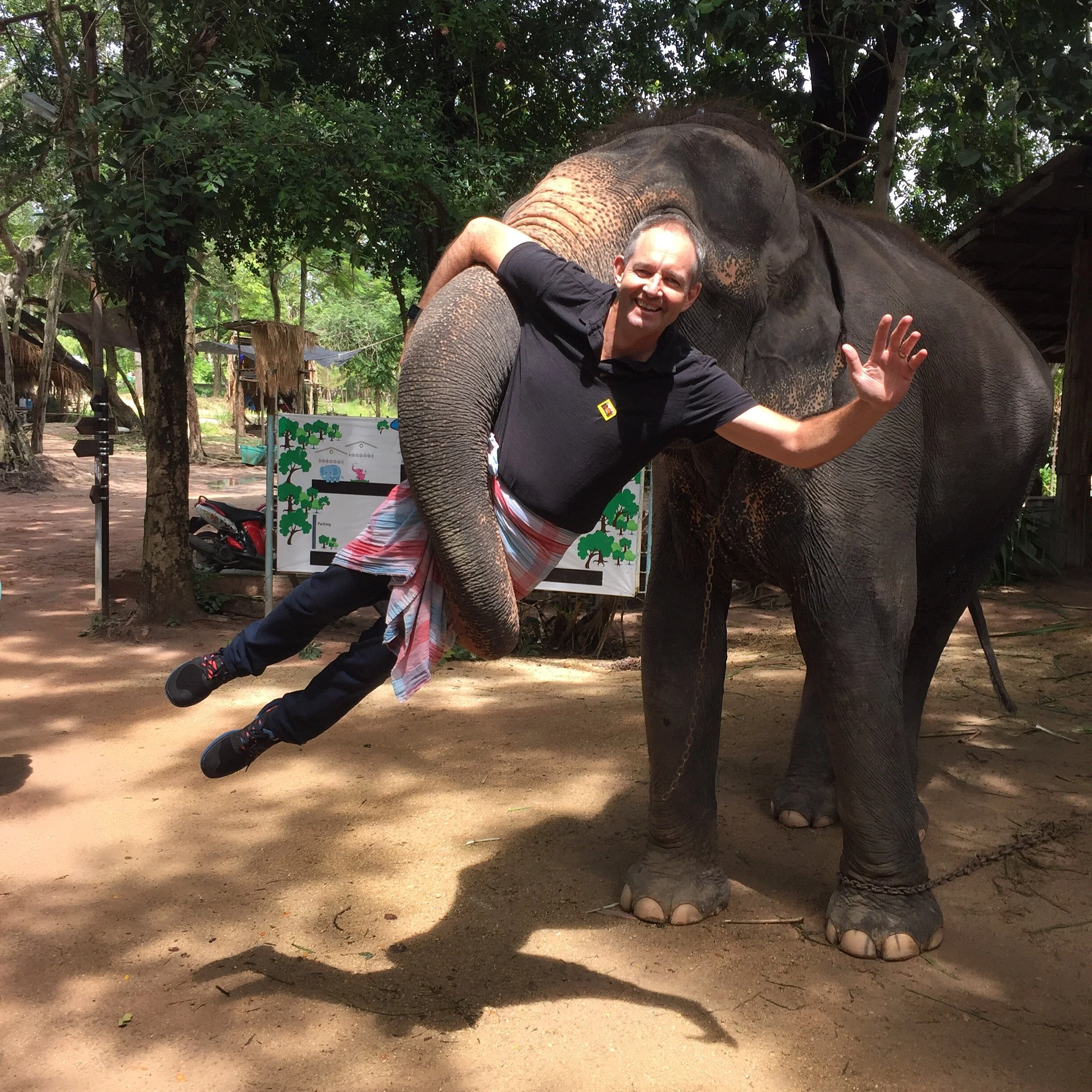 Learning From Elephants