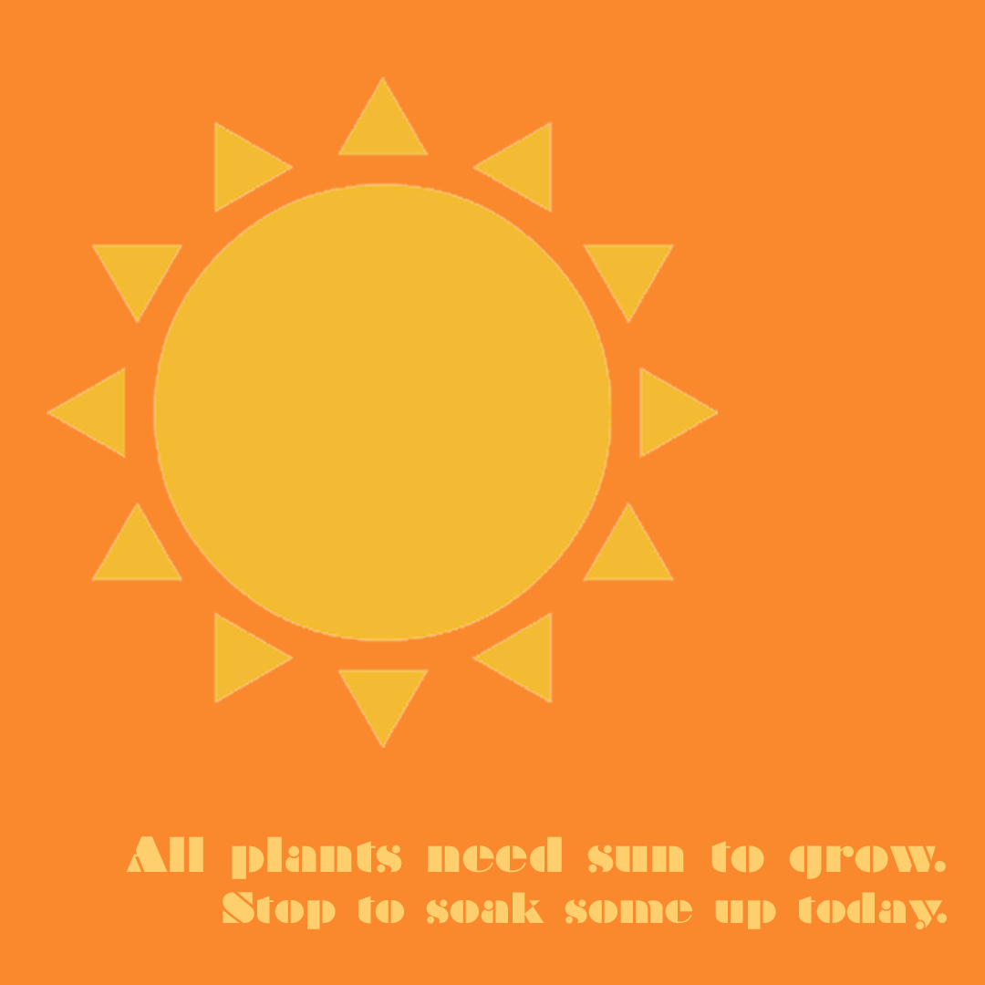 day34.png