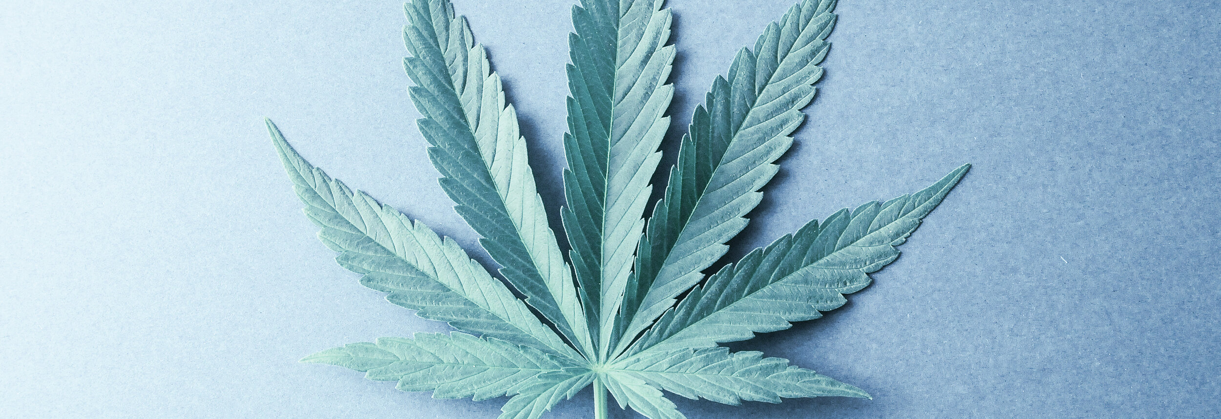 CommercialCannabis.jpg