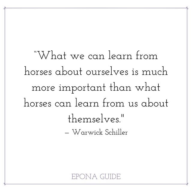 Horse wisdom Wednesday's ✨🐴💛