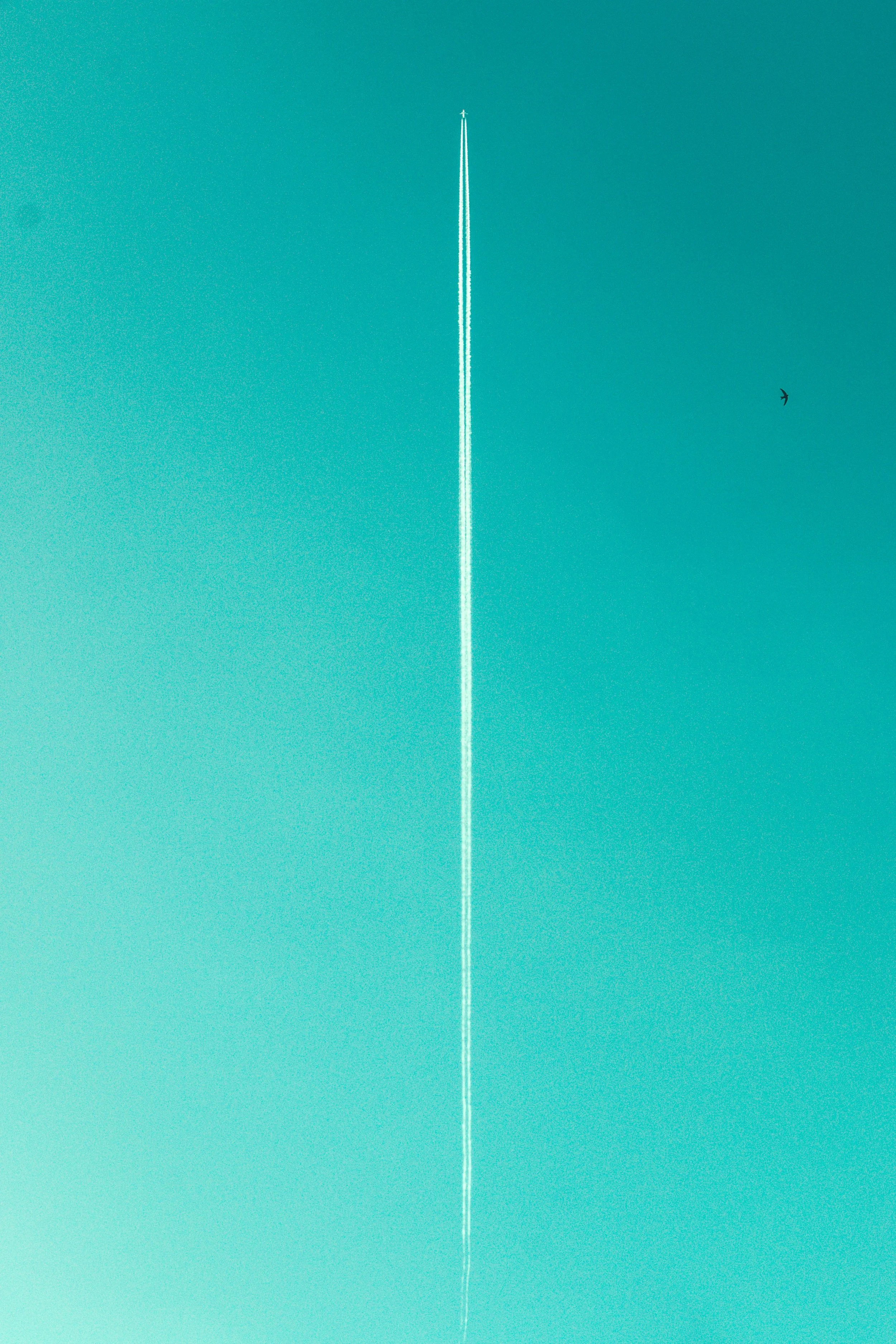 miti-639666-unsplash.jpg