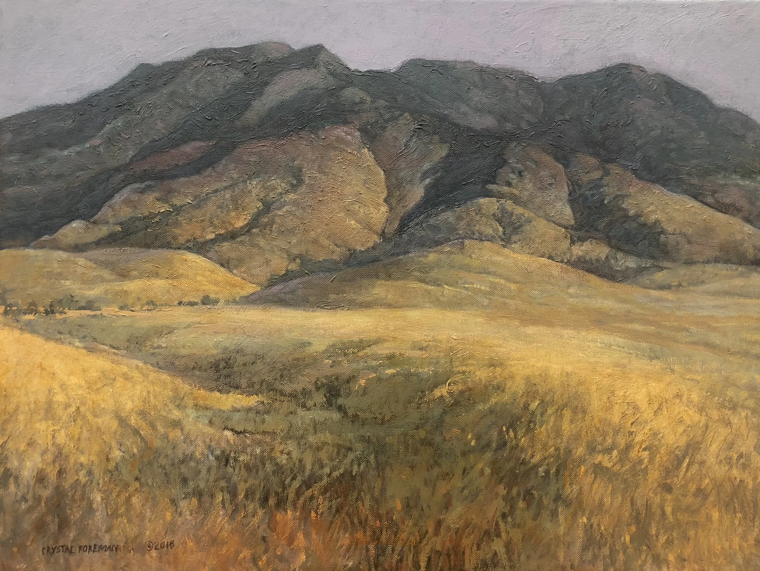 Animas Mountain . oil on canvas . 18x24 . $2200