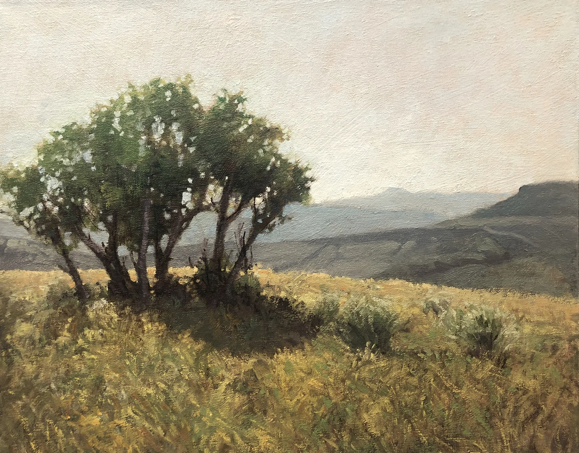 Up Above Cow Camp . 20x16 . SOLD