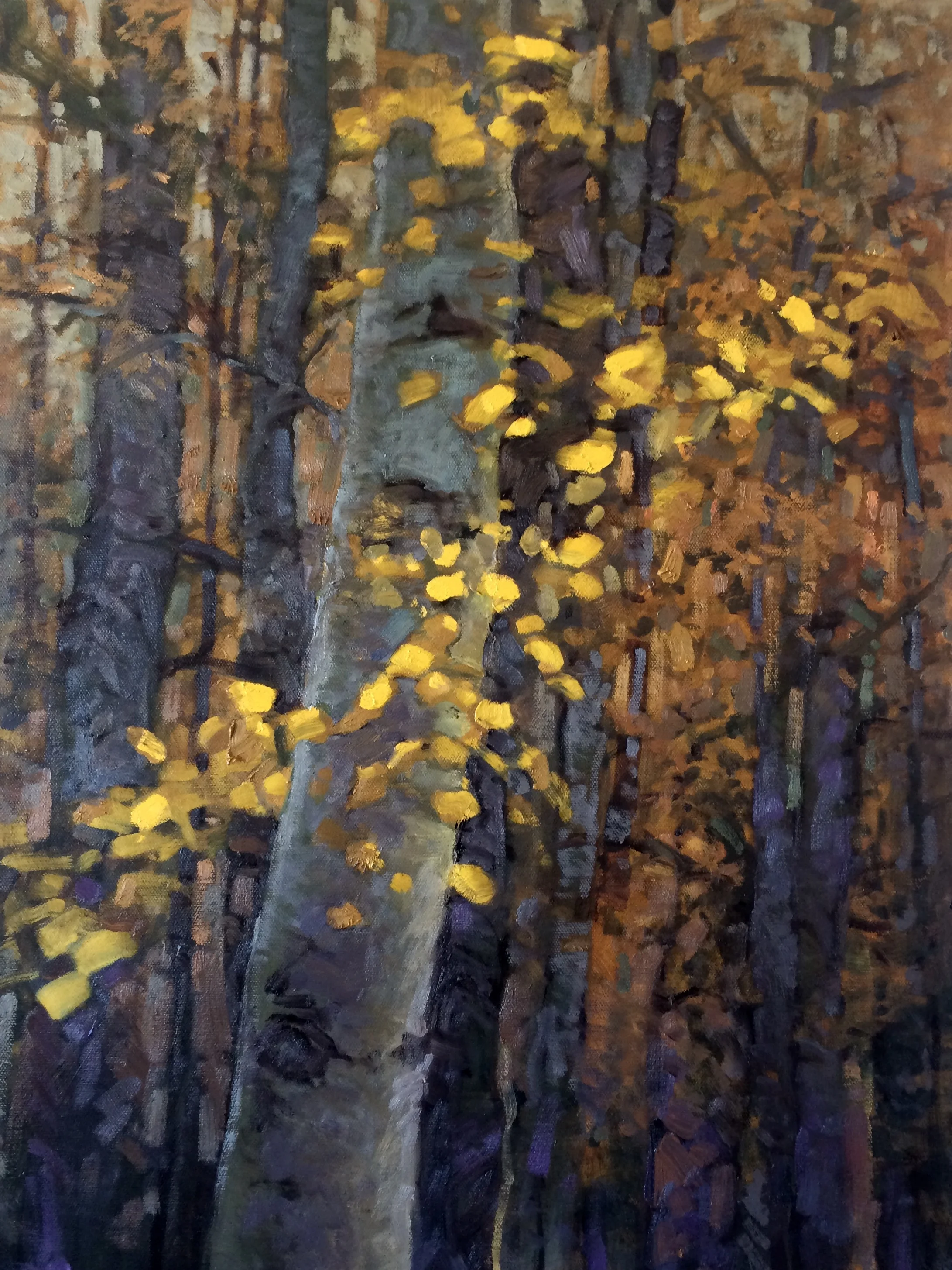 Deep in the Aspens . 18x24 . SOLD