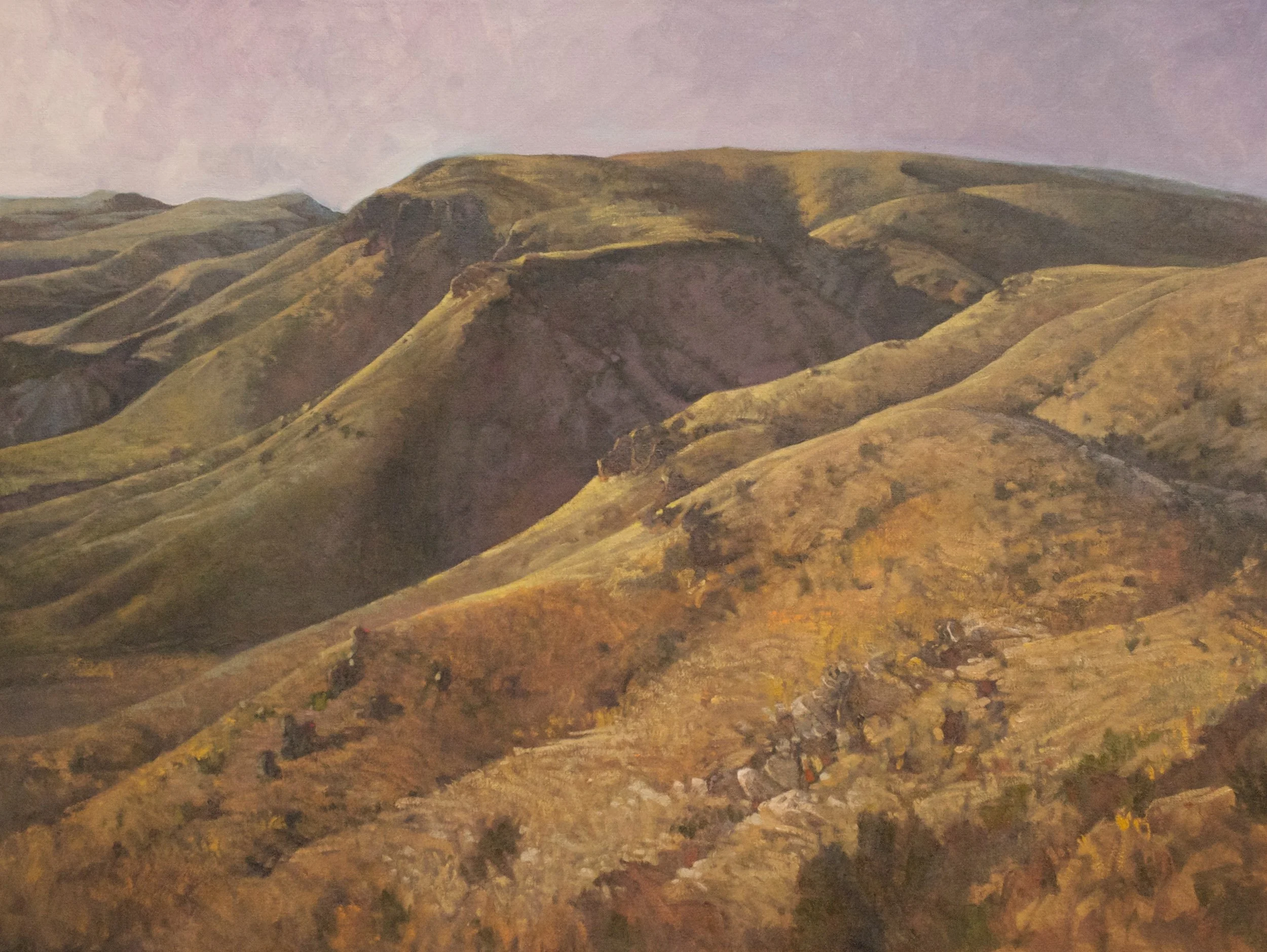 Skeleton Canyon West . 40x30 . SOLD