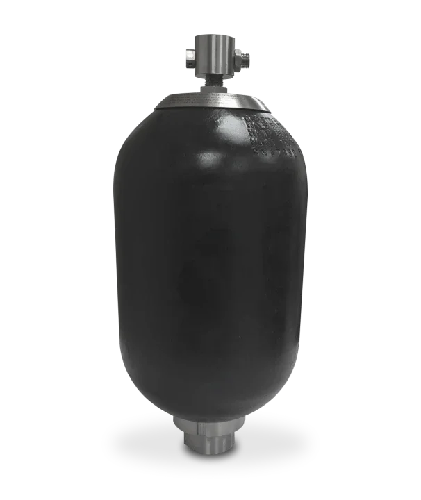bladder.webp