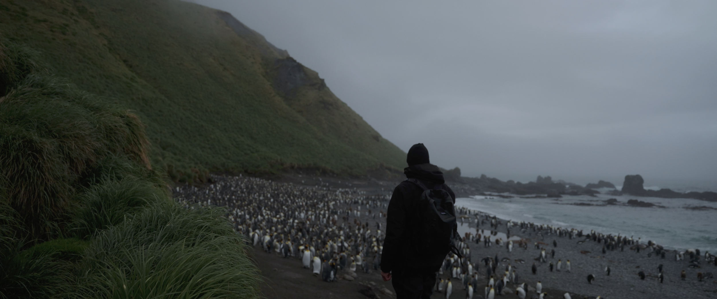 Screenshot 2023-11-11 at 6.11.02 pm.png