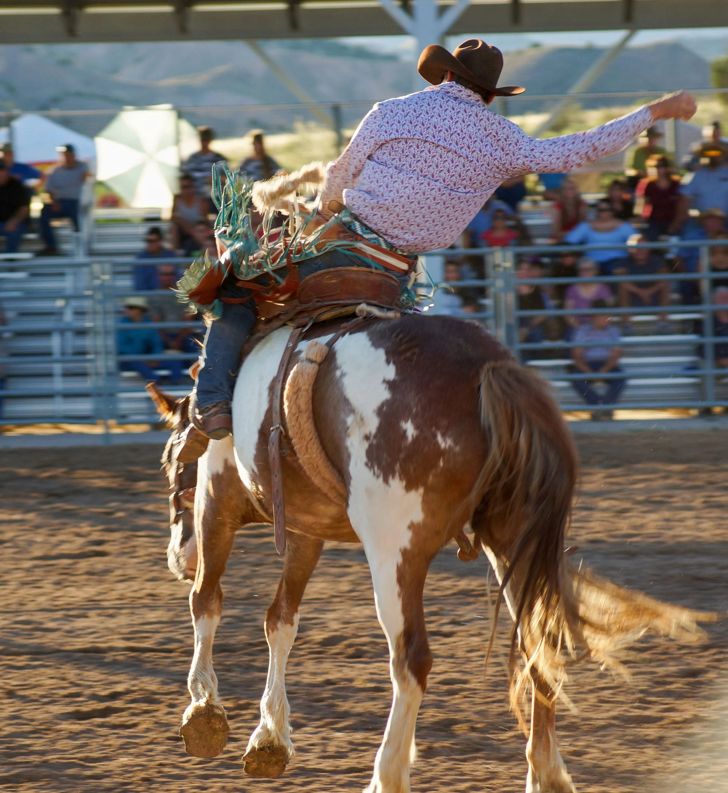 Rodeo — GHOST HORSE PHOTOGRAPHY