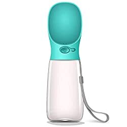 Travel Water Bottle