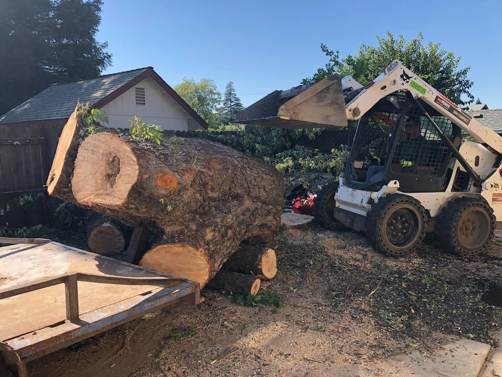 tree_stump_removal.jpg