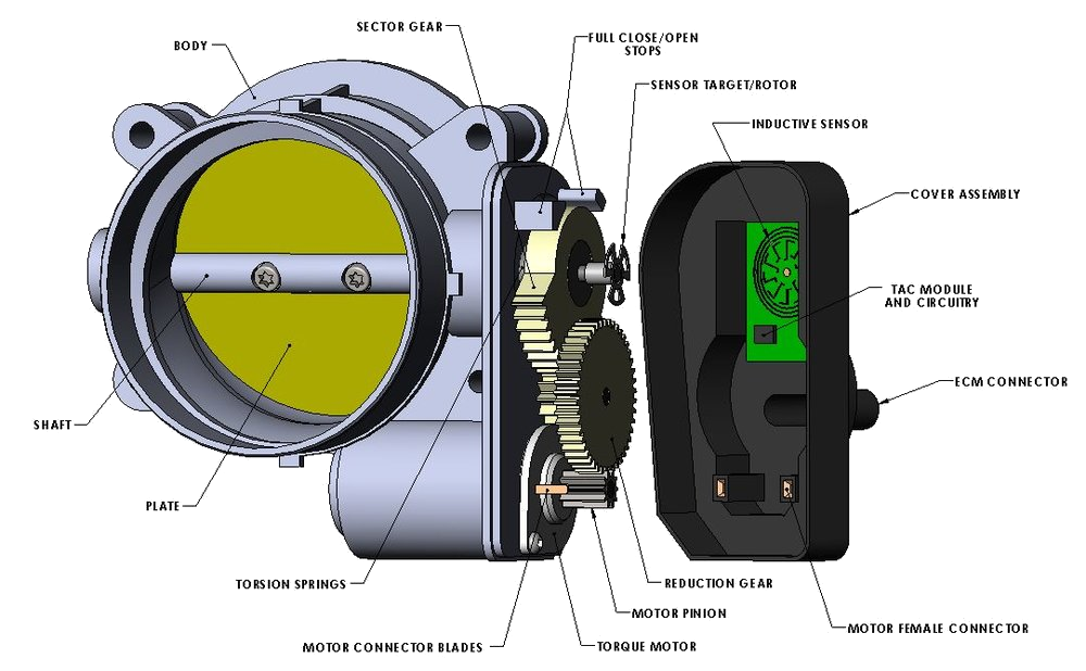 Figure 6. GM/AC Delco p/n 12678223 throttle valve main components. View from the air inlet side and with cover removed