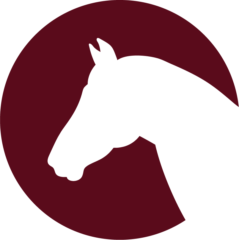 Montana Horse Sanctuary