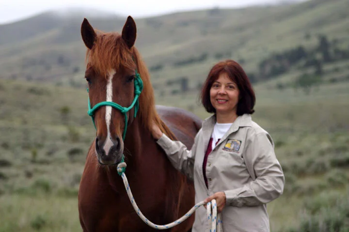 Montana Horse Sanctuary