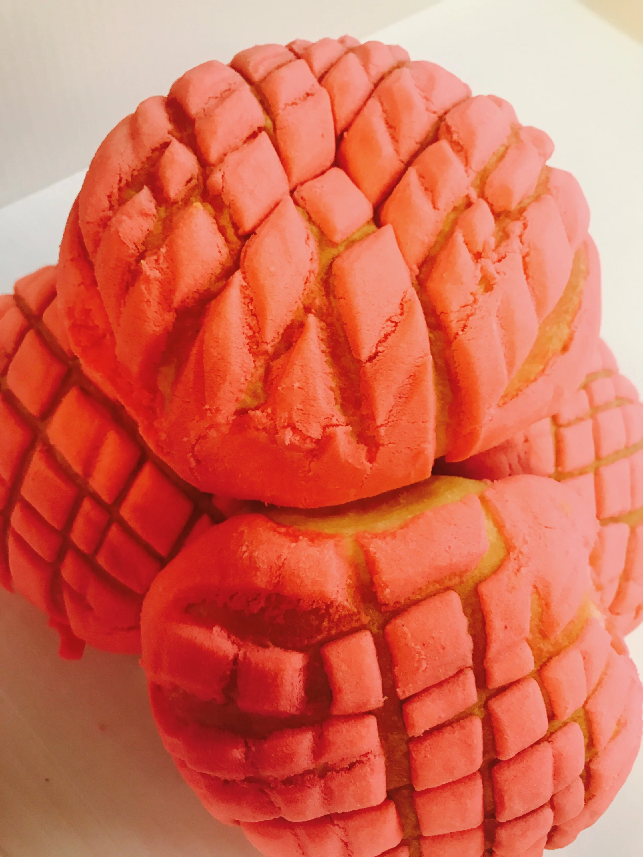 Conchas