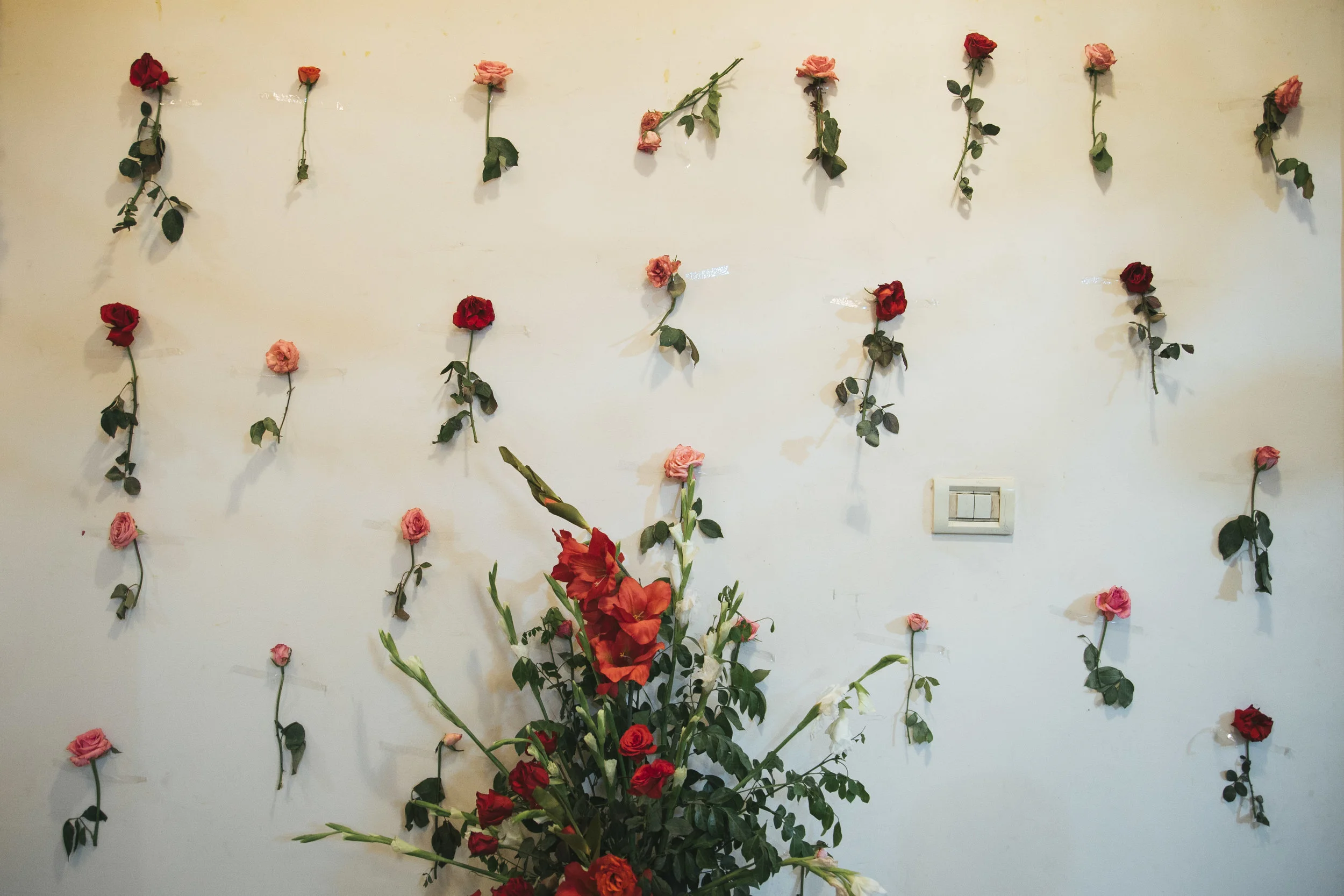 The groom's home is decorated with roses during the week of the wedding. Family members come from all over the country to visit with the family during the celebration. Every day, after the ceremony and festivities are over at the wedding venue, the family heads home to celebrate even more - oftentimes staying up until dawn.