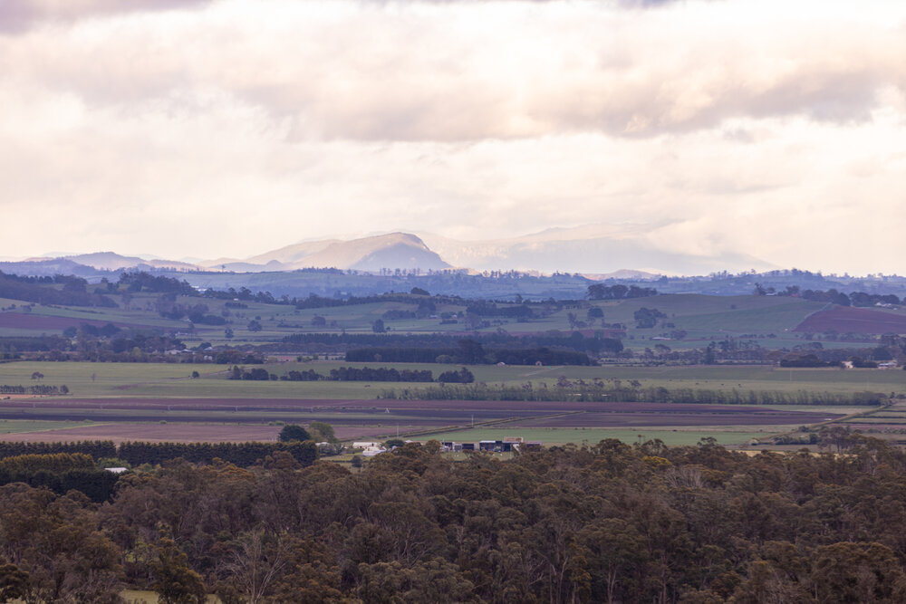 Tasmania_landscape.jpg