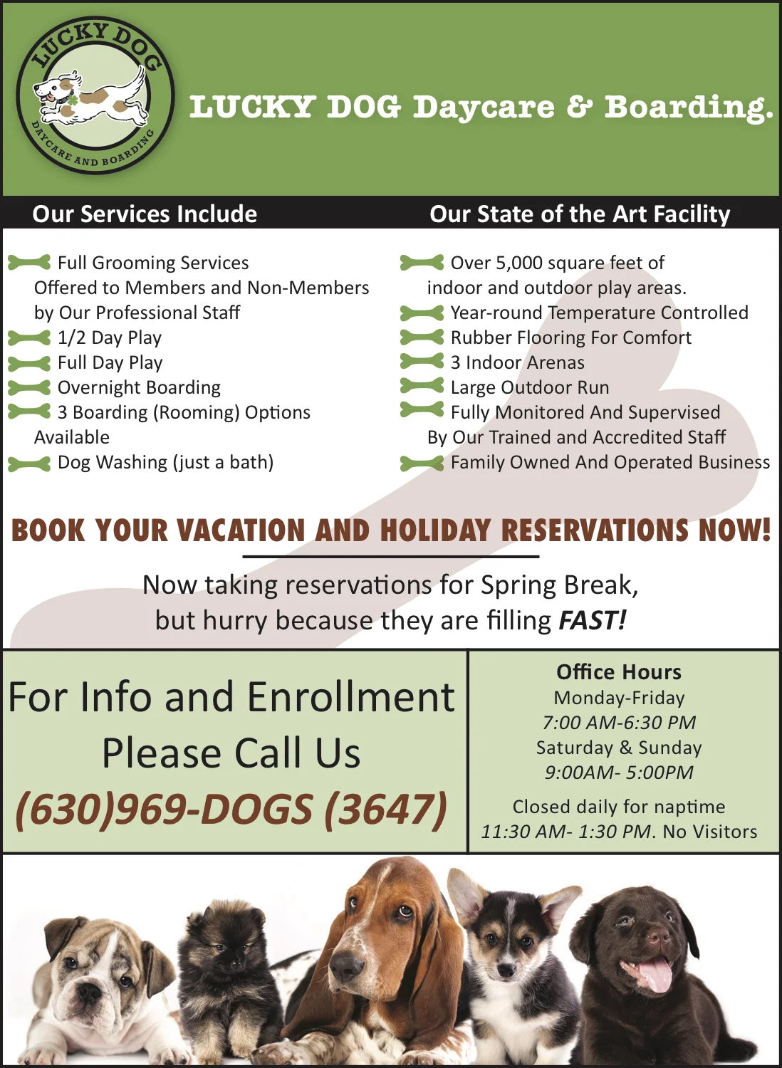 lucky_dog_daycare_boarding_14_jan_2018_LAB copy.jpg