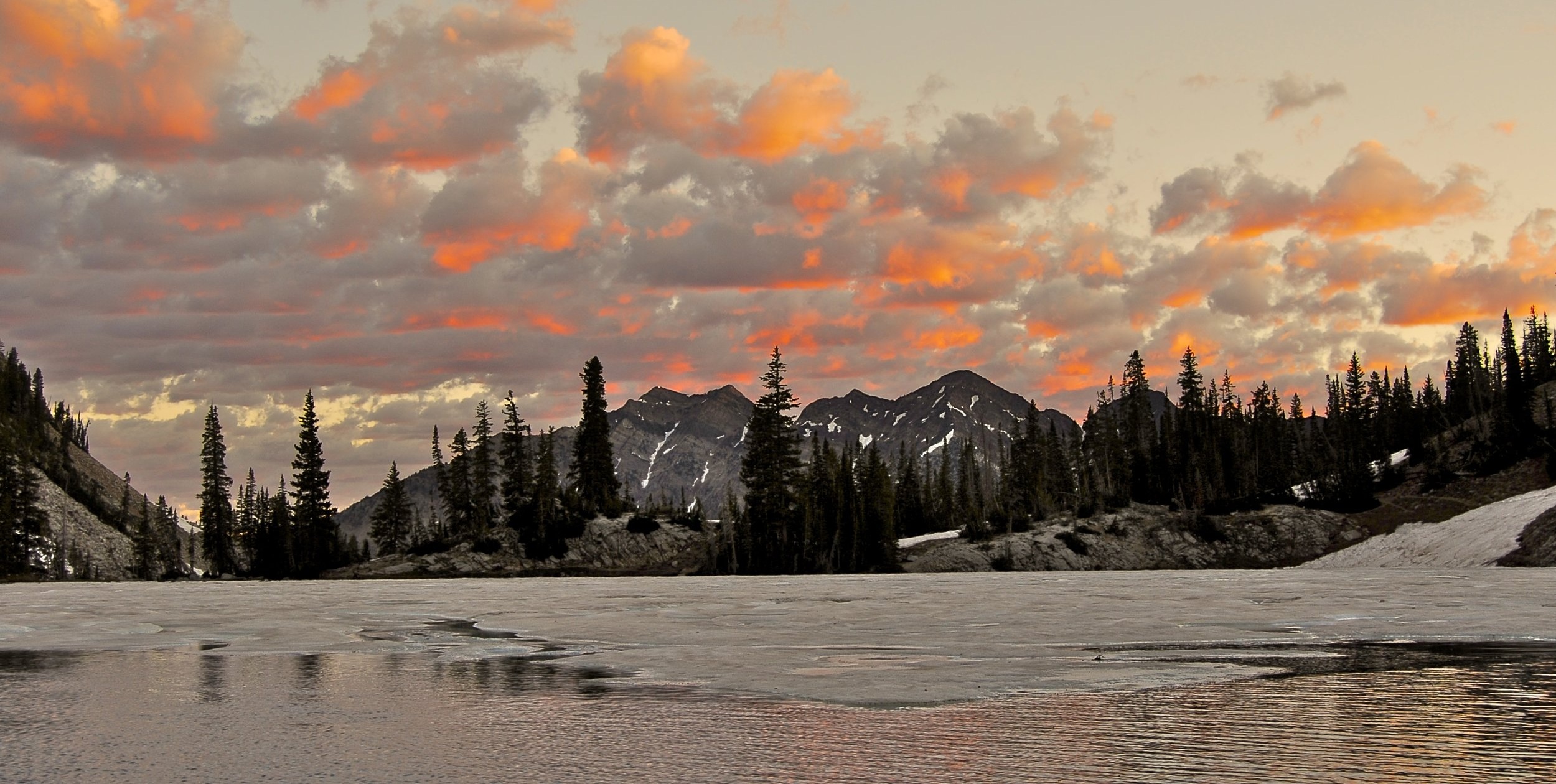 Red Pine Sunrise by Jonathan Duncan