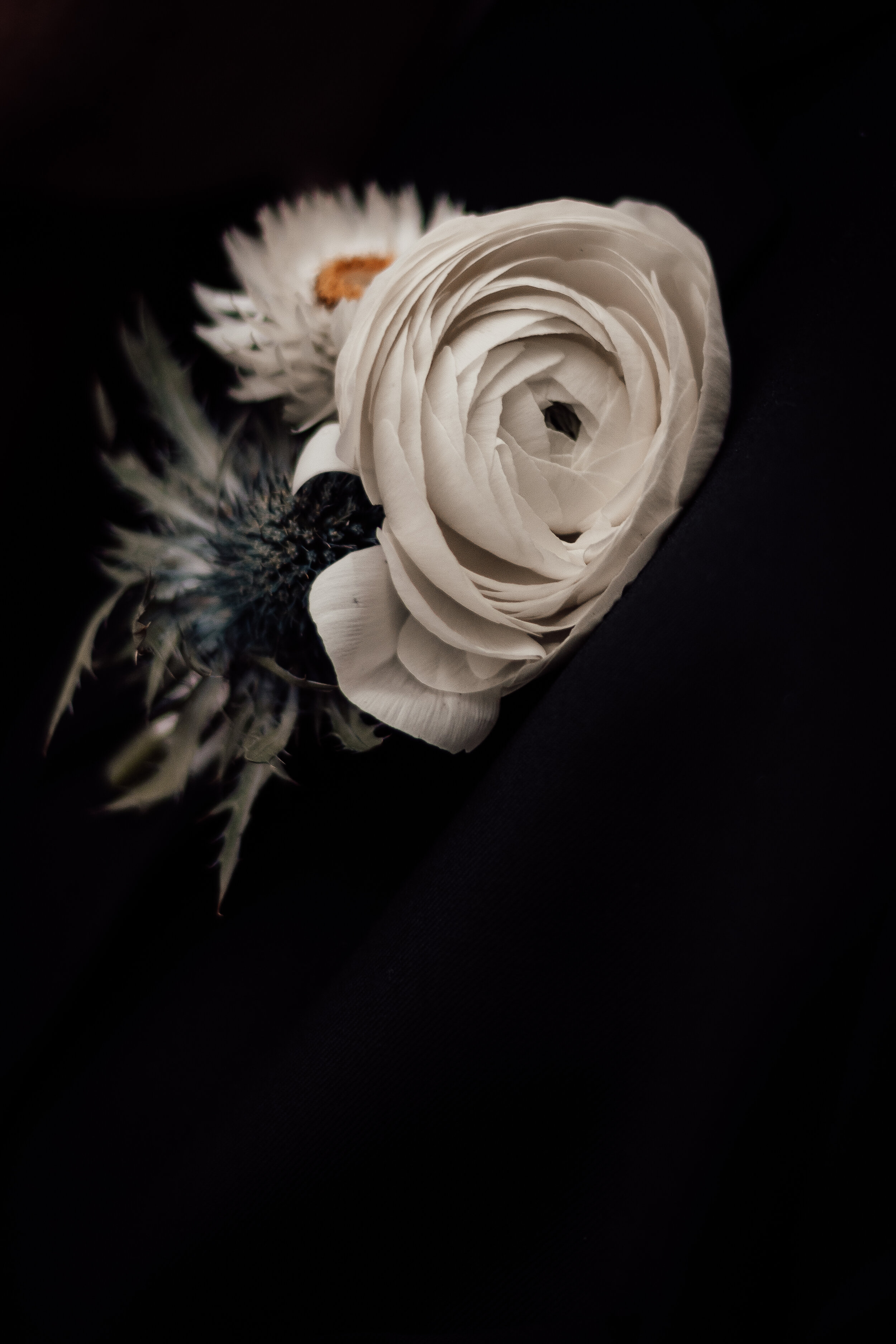 BLOG_COLLIMORE_WEDDING_PHOTO_SESSION_RECEPTION_21092019-66.jpg