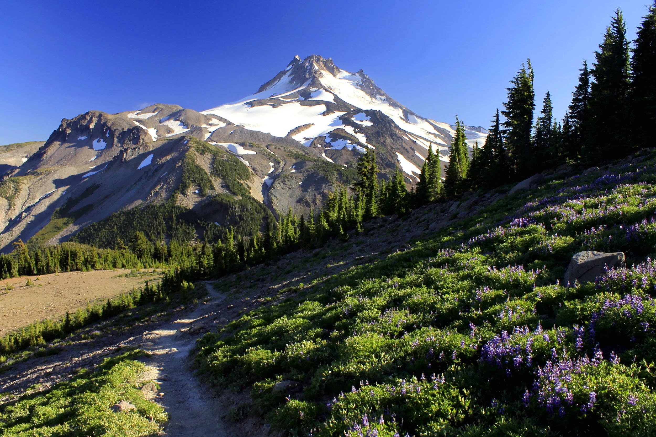 Jefferson Park 021.JPG