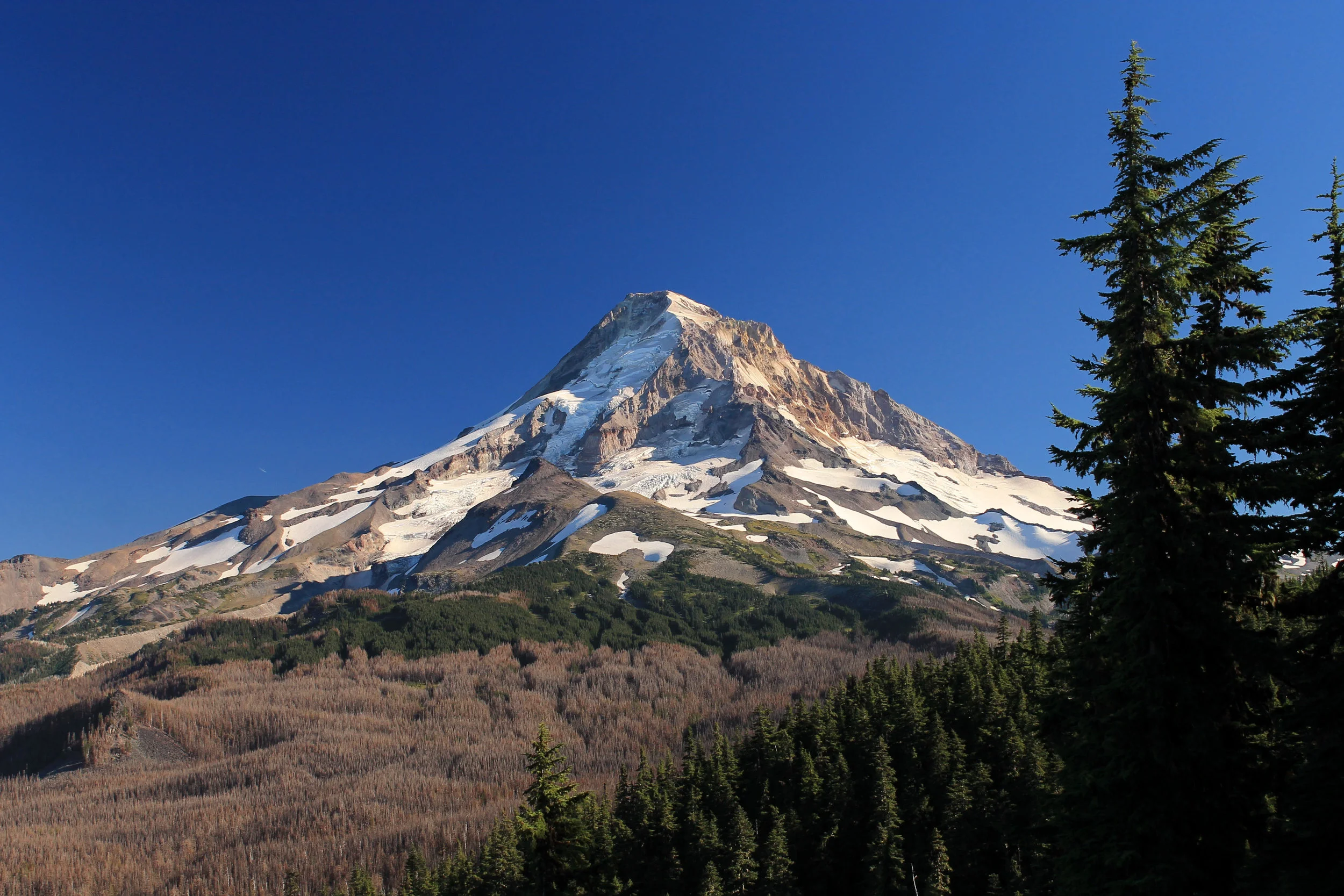 Owl Point 063 web.JPG