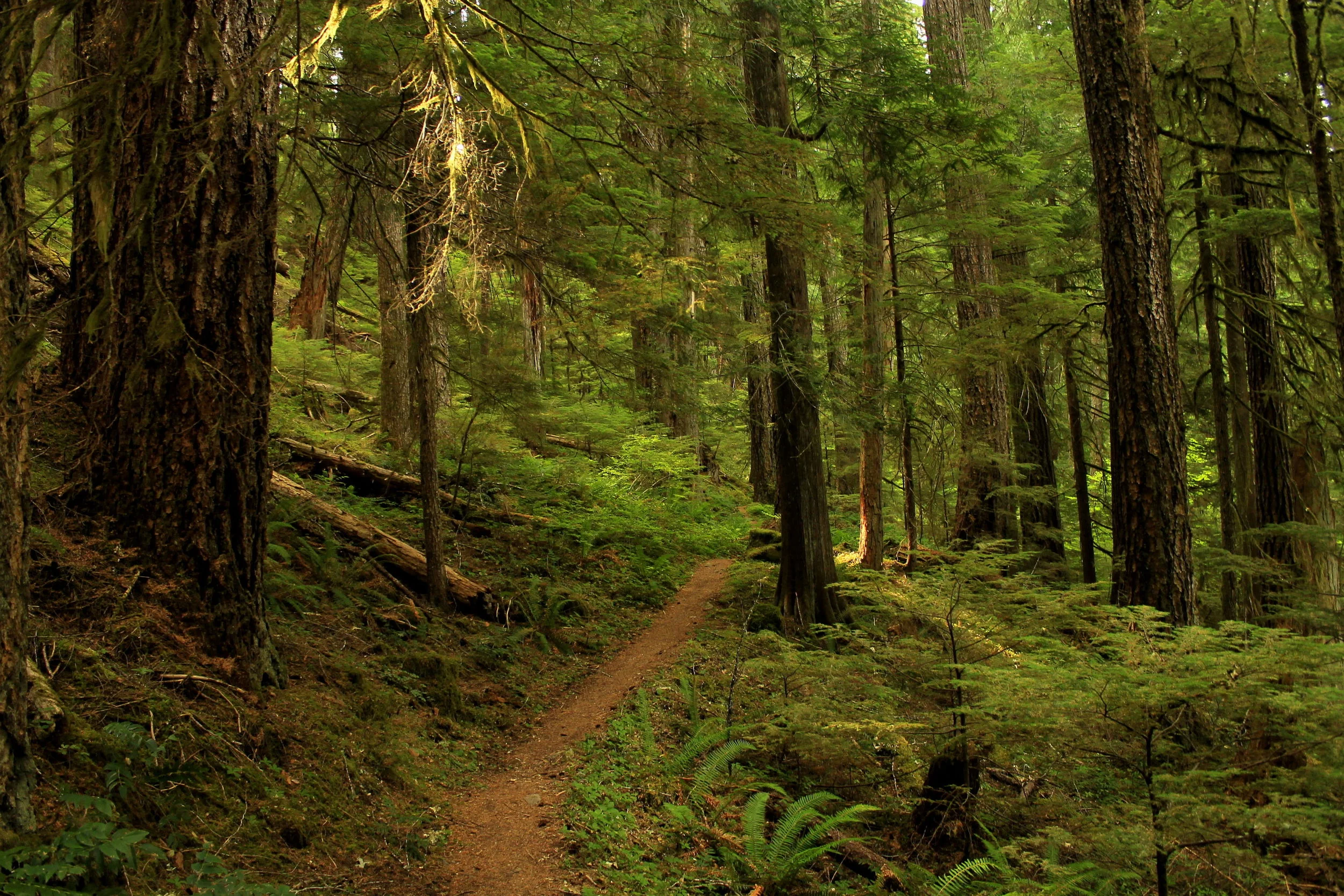 Silver King Lake 011 web.JPG