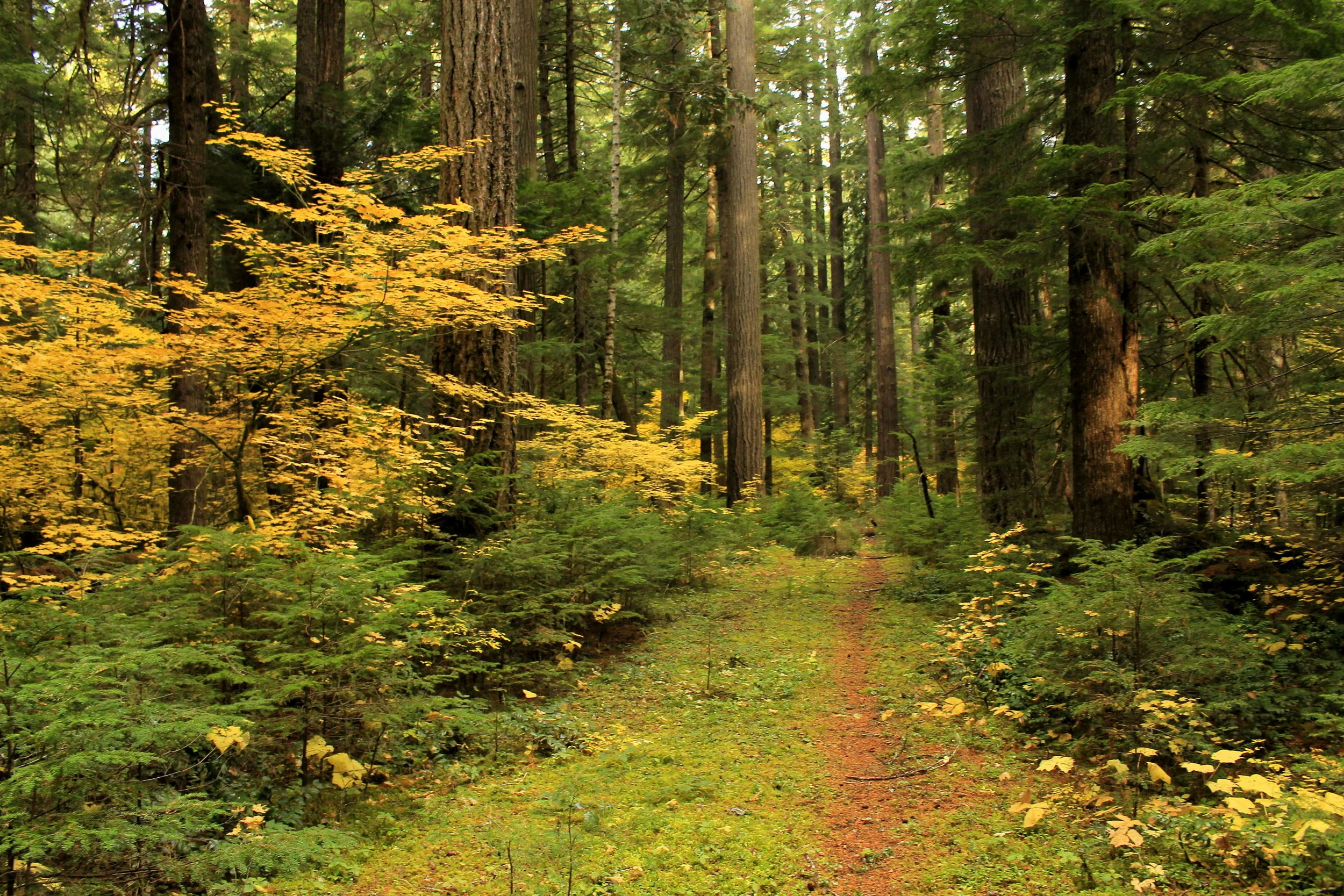 Big Bottom October 2018 - 020 web.JPG