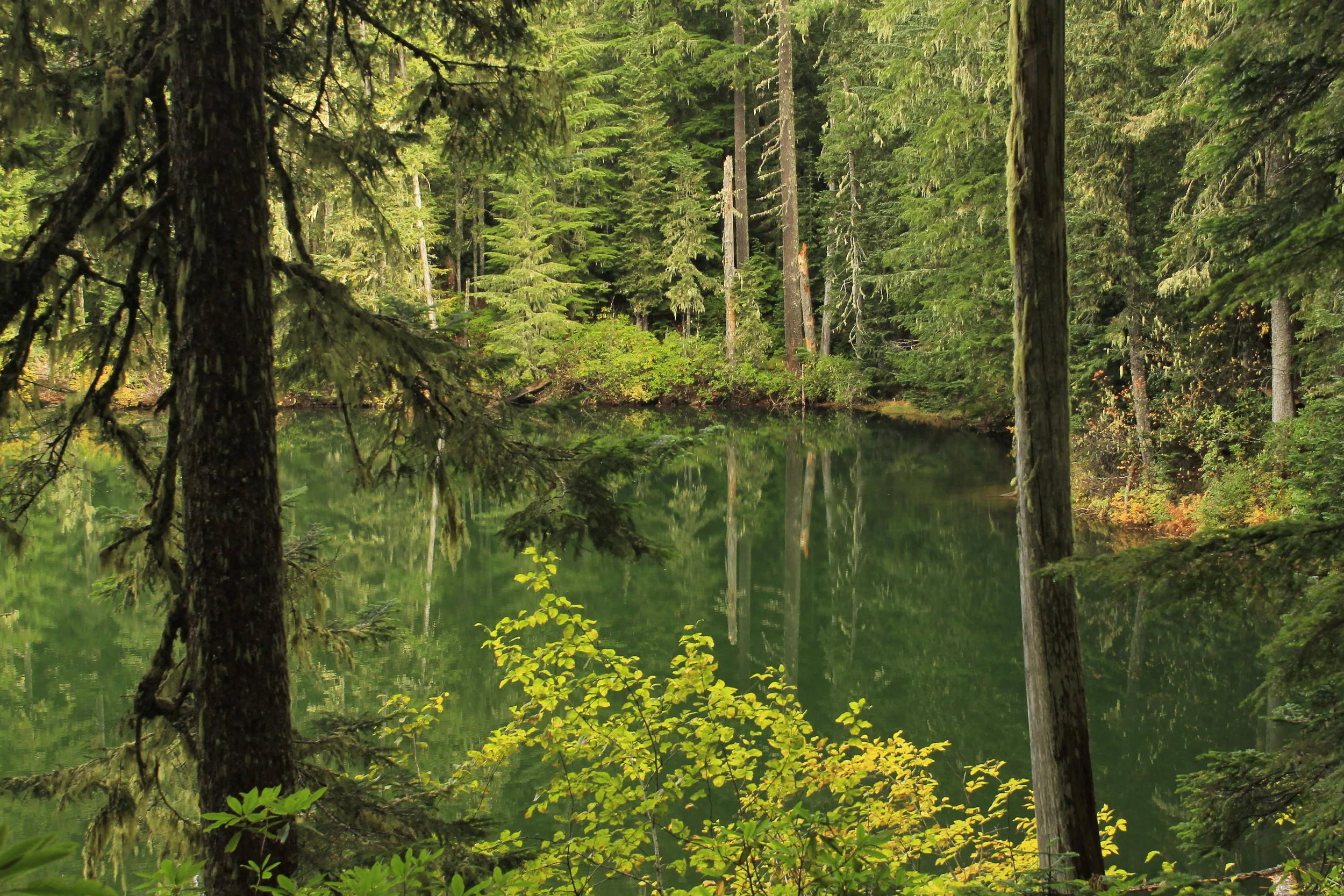 Upper Molalla Divide 058 web.JPG