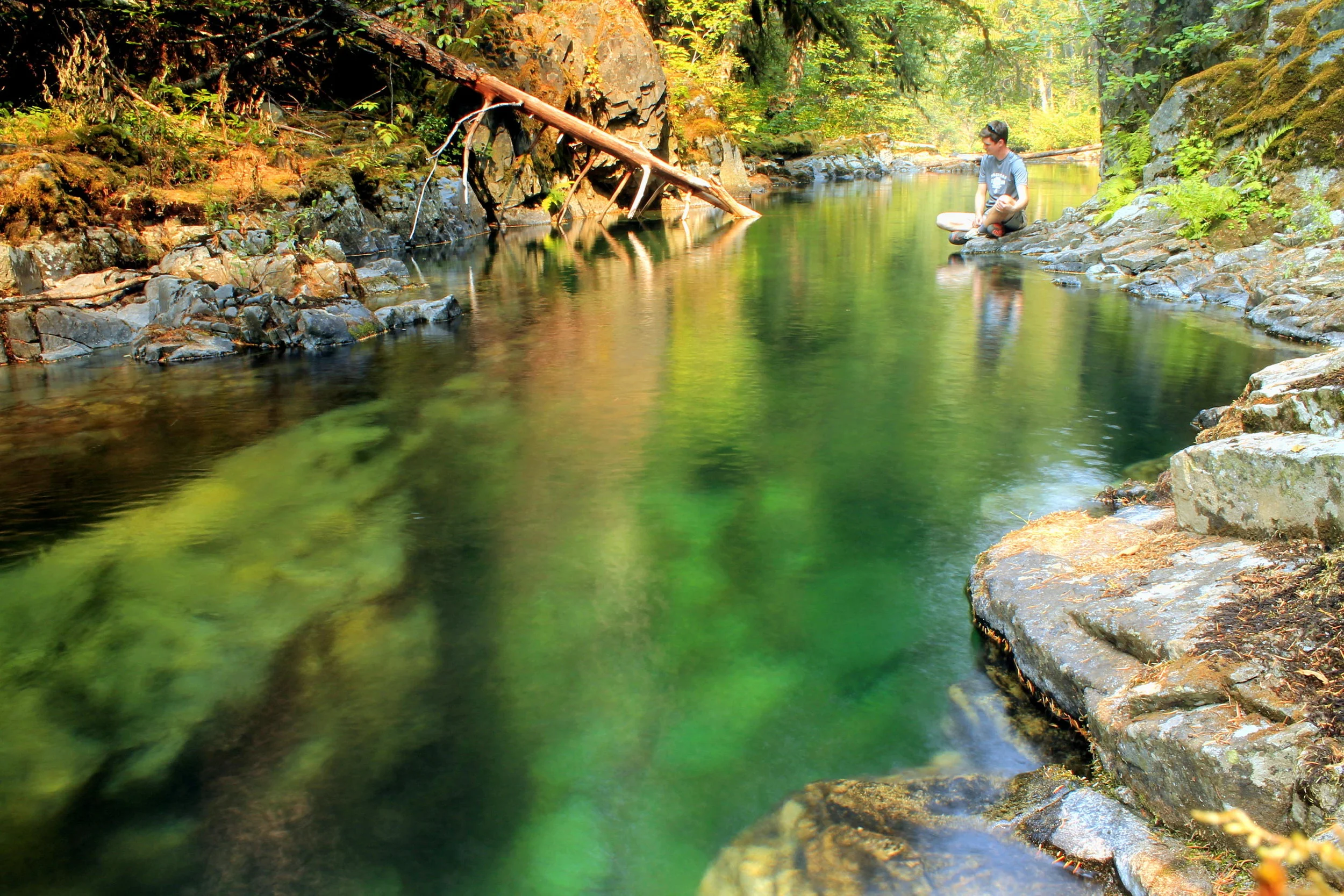 Bull of the Woods 129 web.JPG