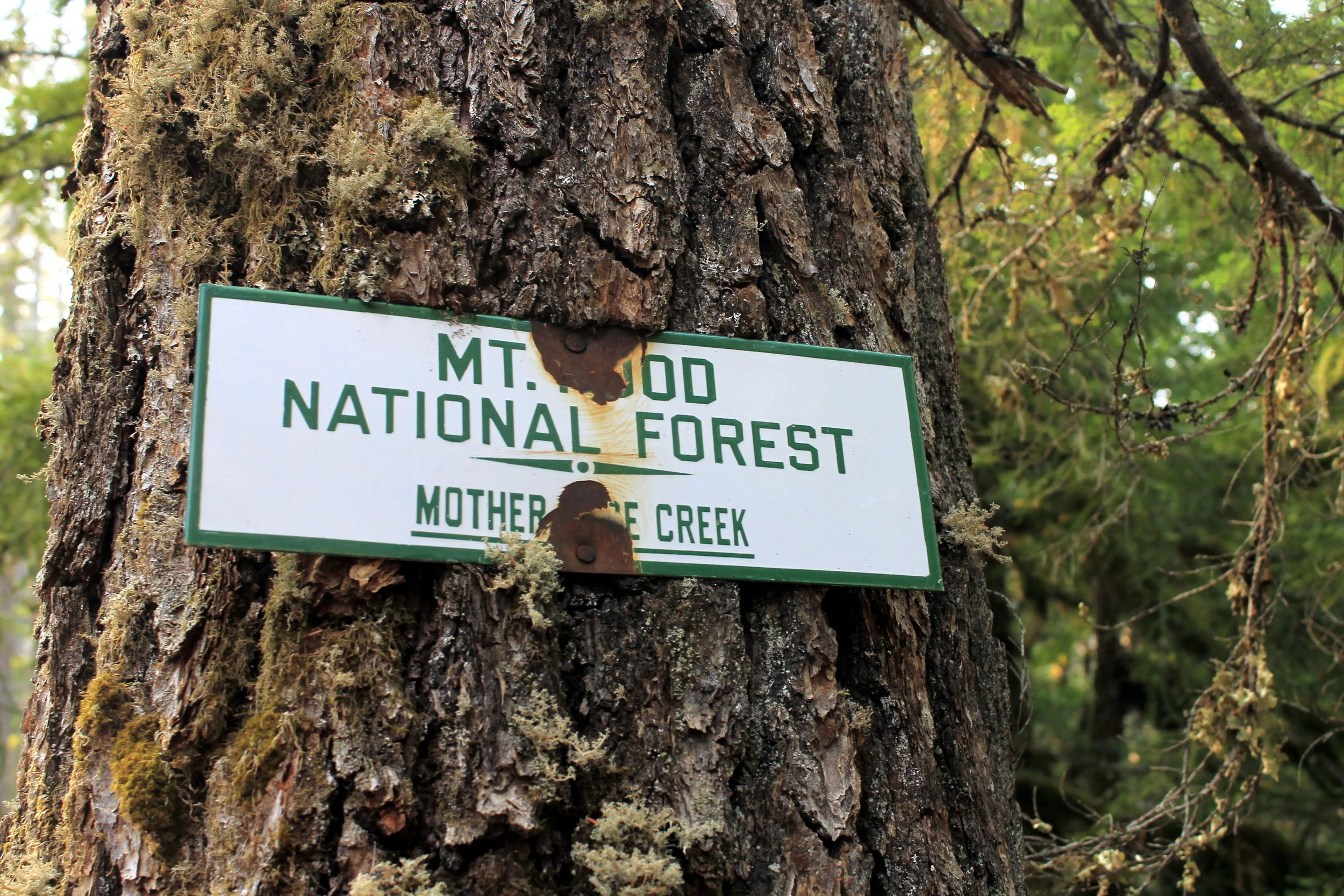 Mother Lode Trail - August 2015 web.JPG