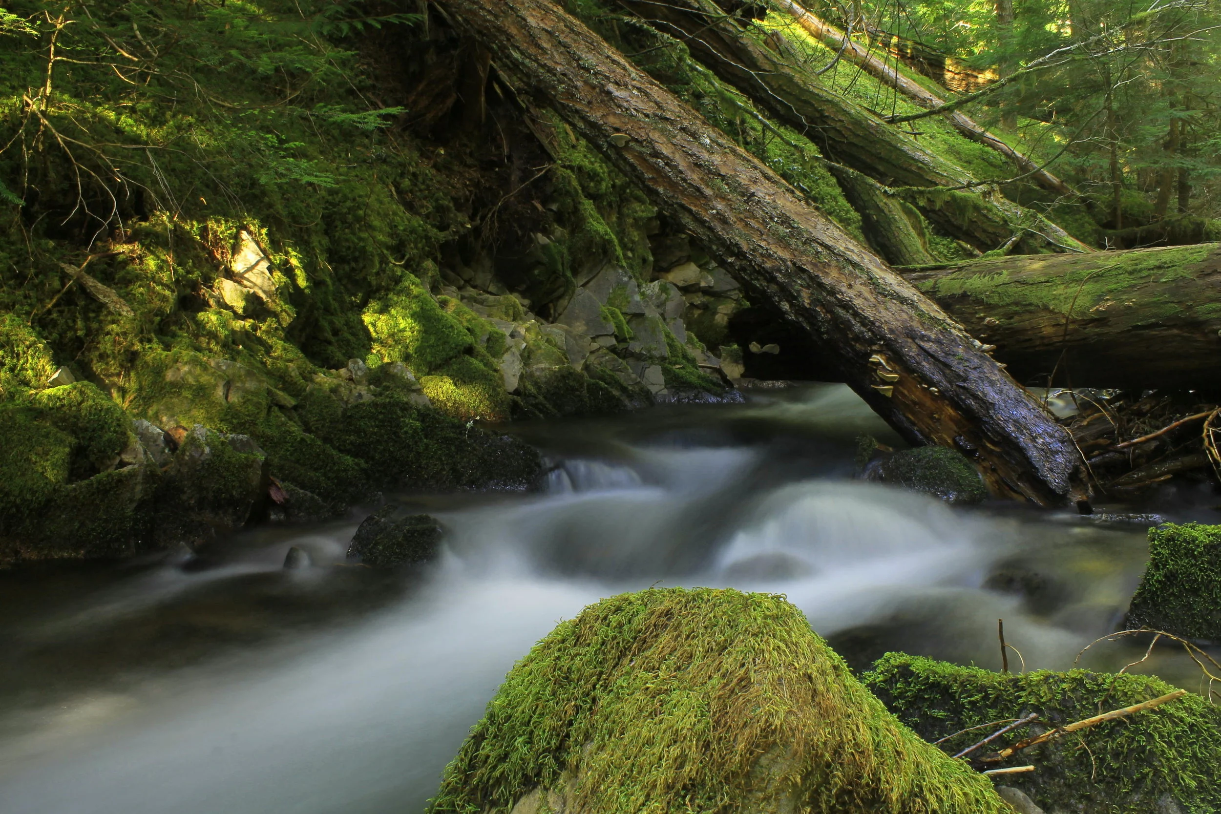 Rho Creek 012 web.JPG