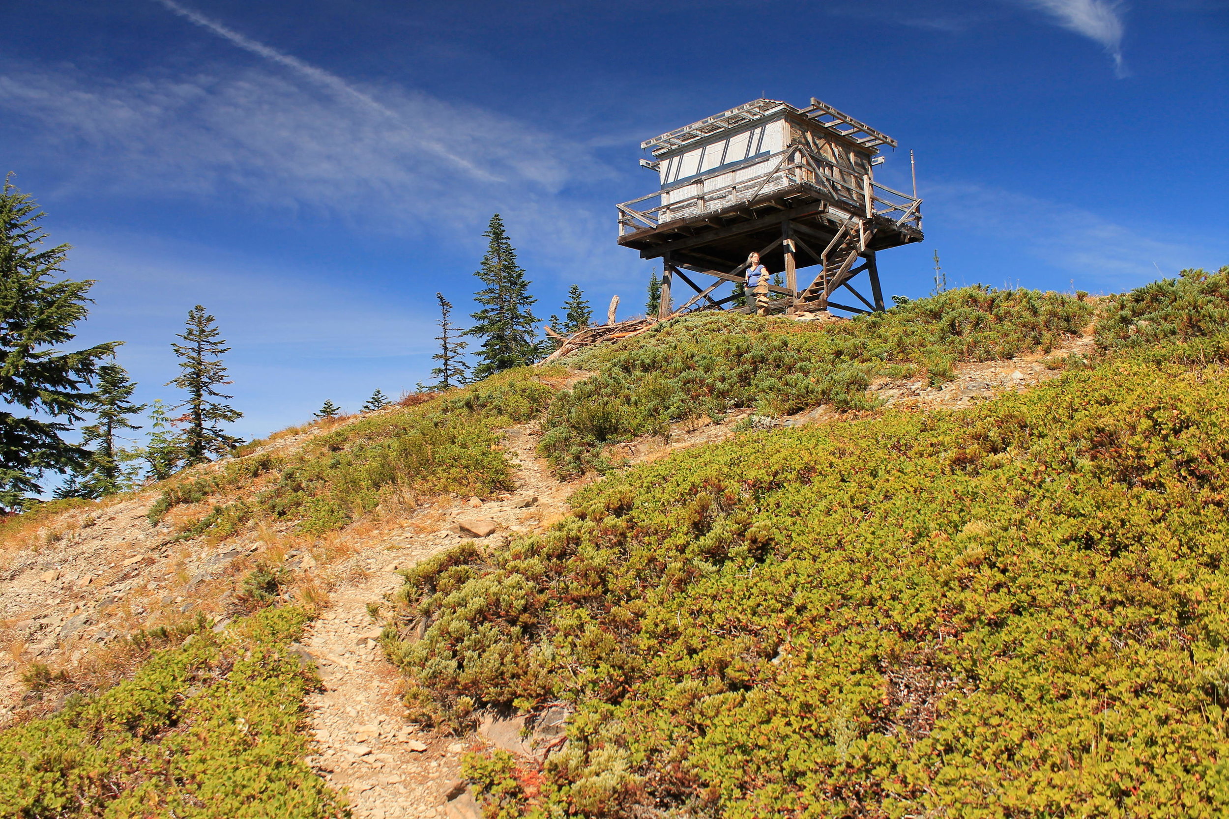 Bull of the Woods 117 web.JPG