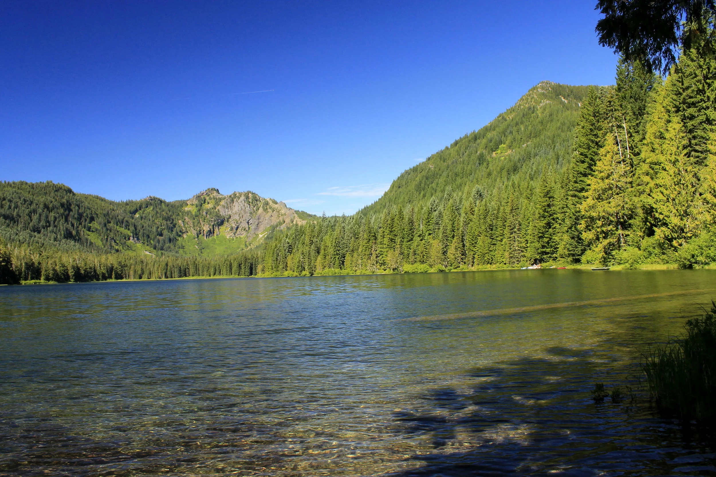 Elk Lake - July 2014 - 174 web.JPG