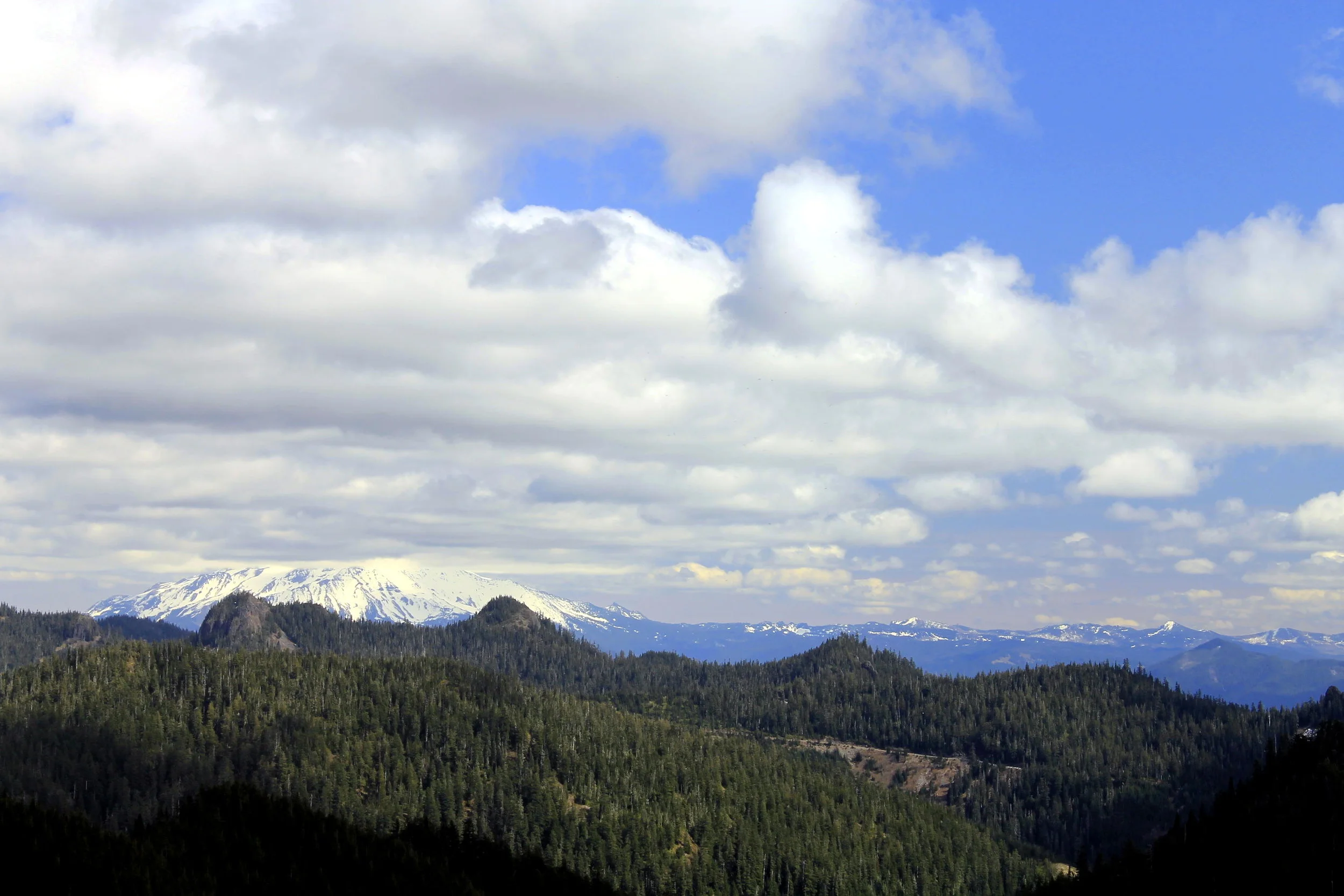 Elkhorn Ridge 037 web.JPG