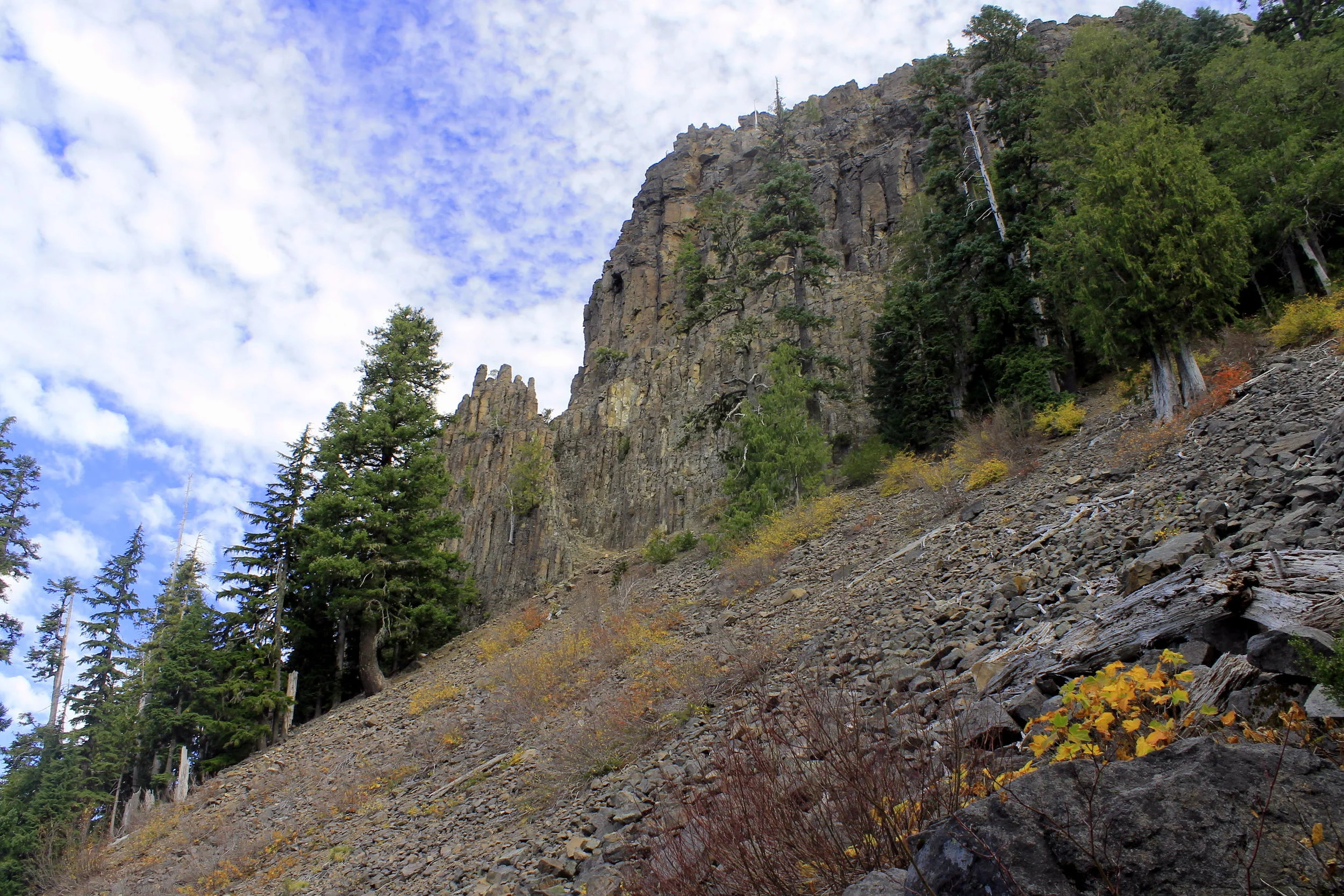 French Creek Ridge 004 web.JPG