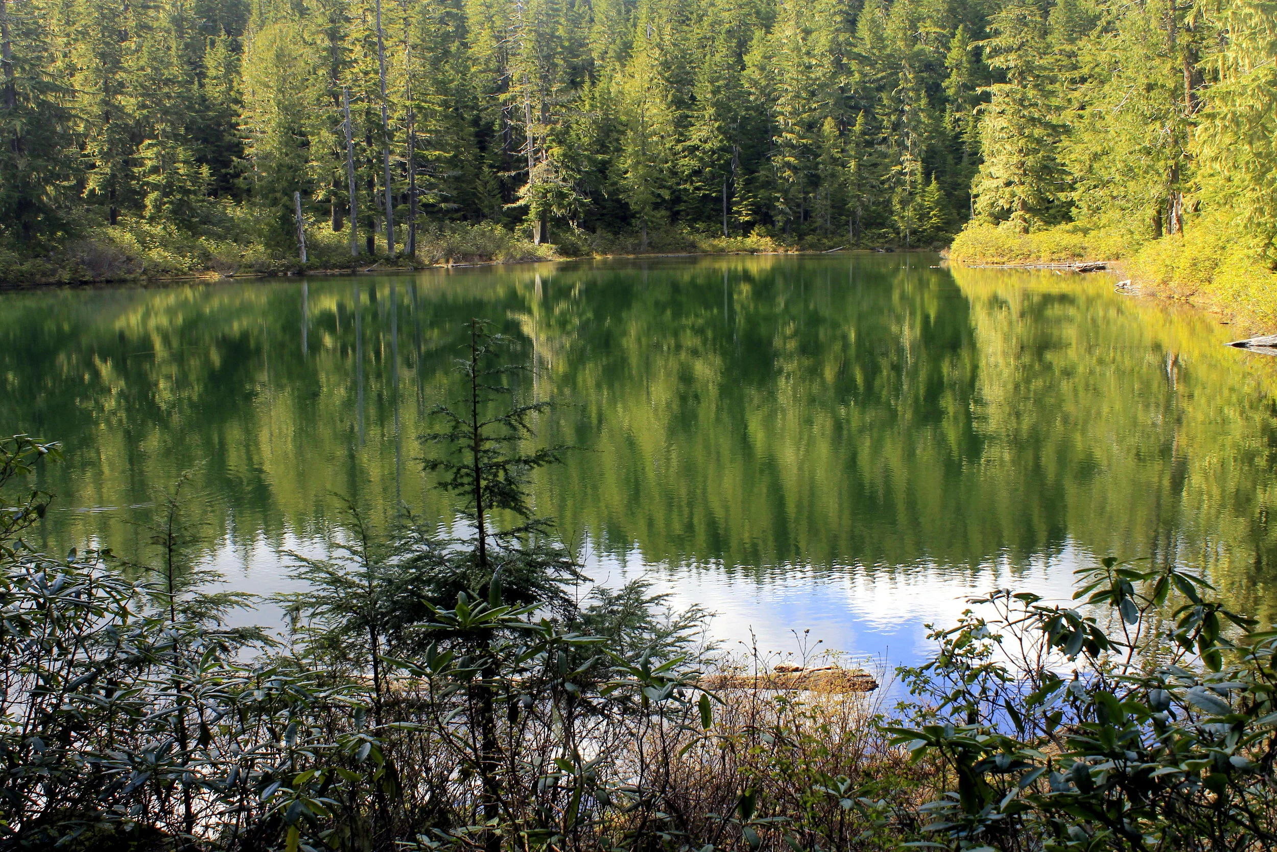 Elkhorn Ridge 086 web.JPG