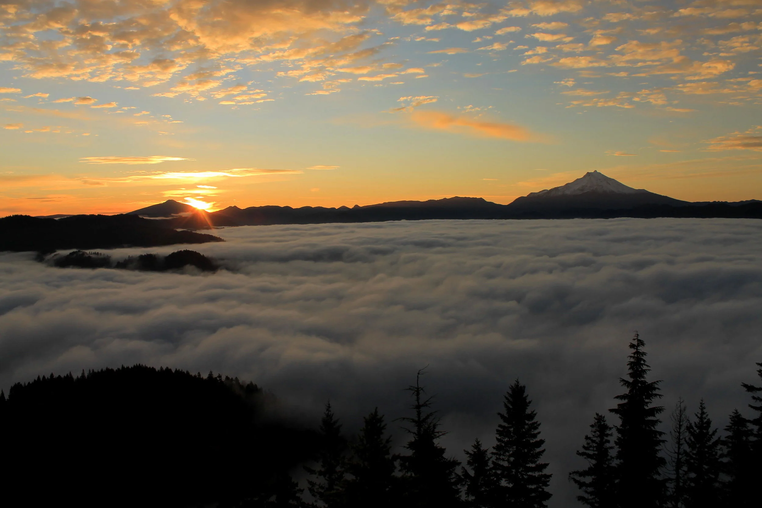 Gold Butte 142 web.JPG