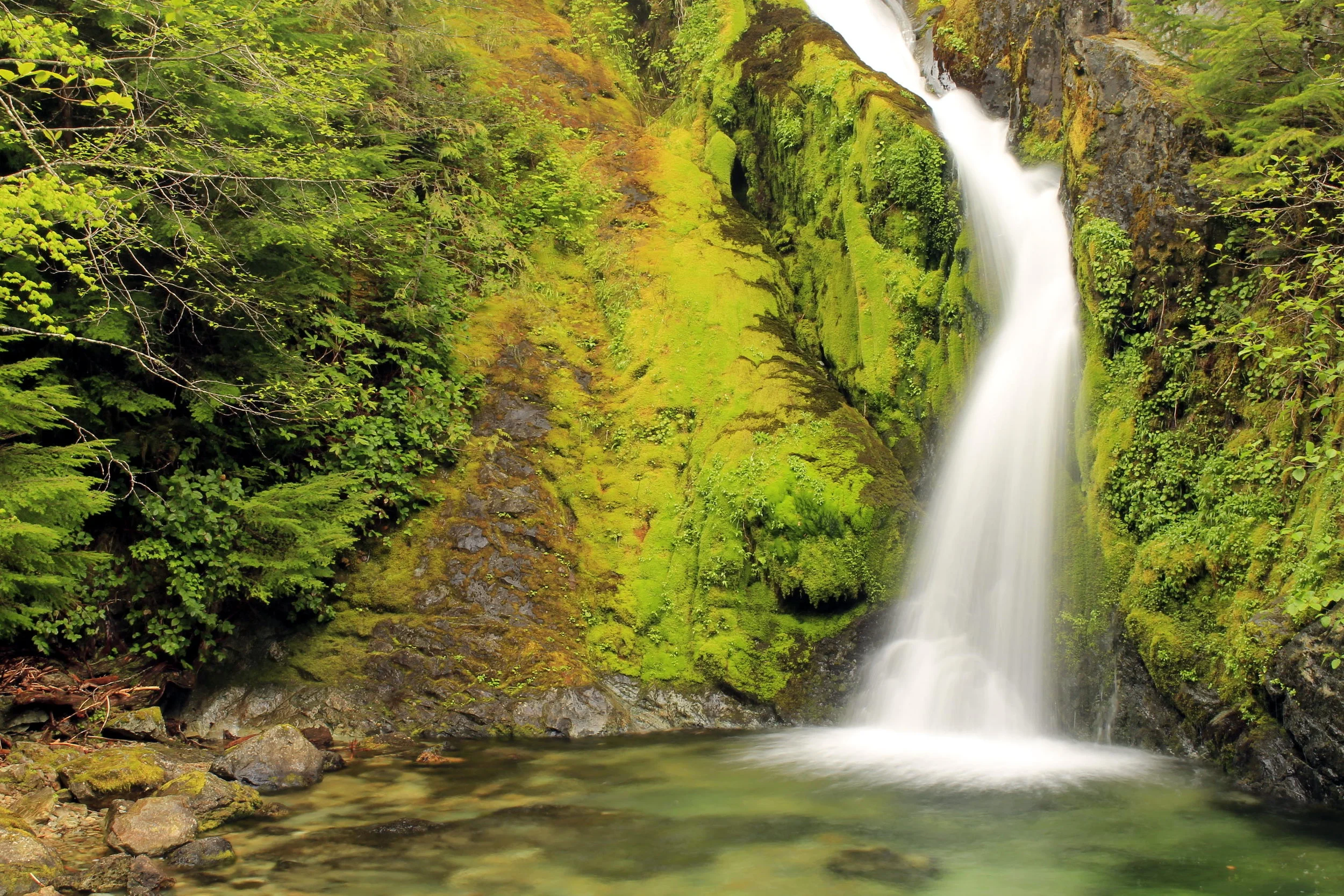 Sullivan Creek Falls 080 web.JPG