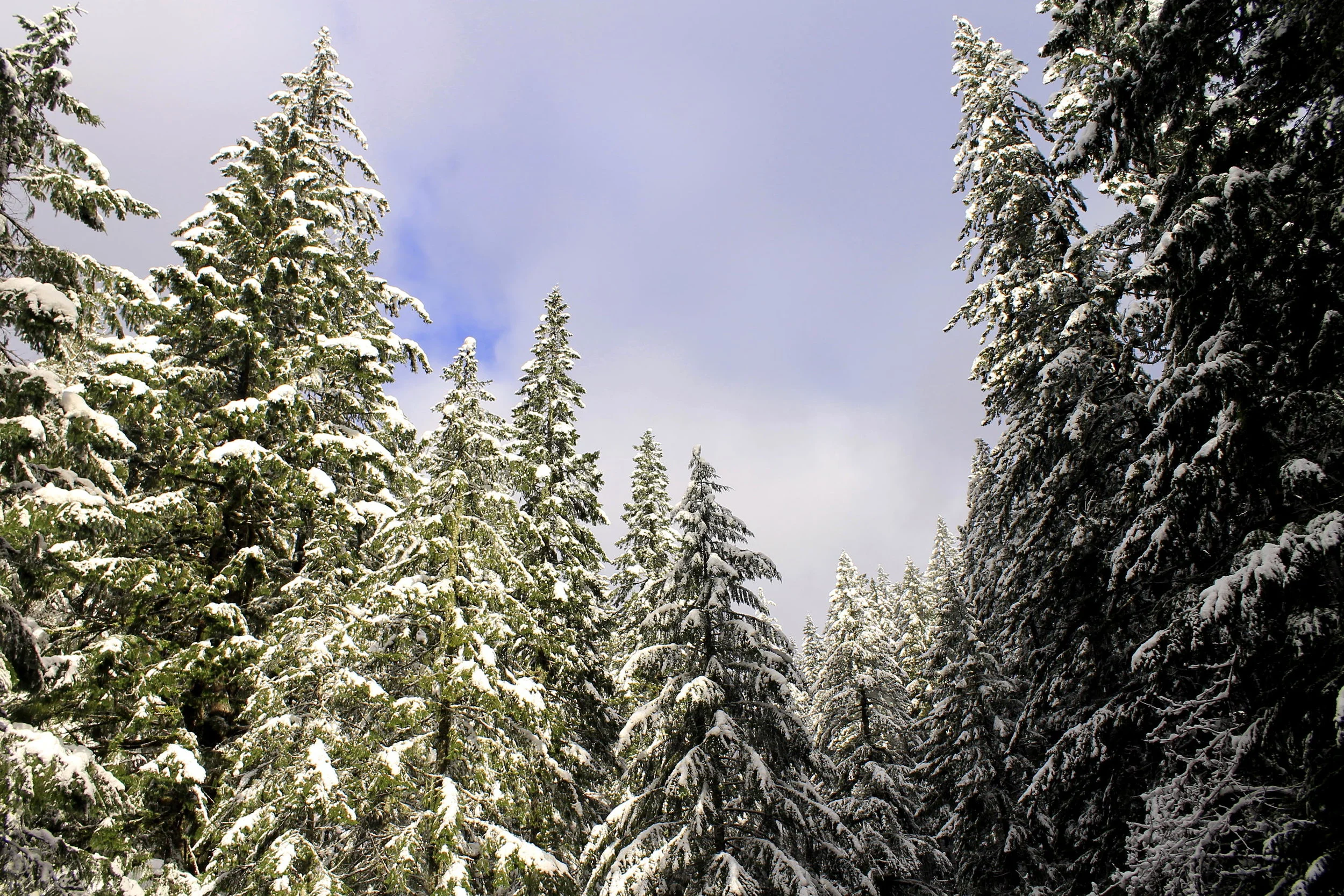Three Pools and Henline Falls in the Snow 005a.JPG