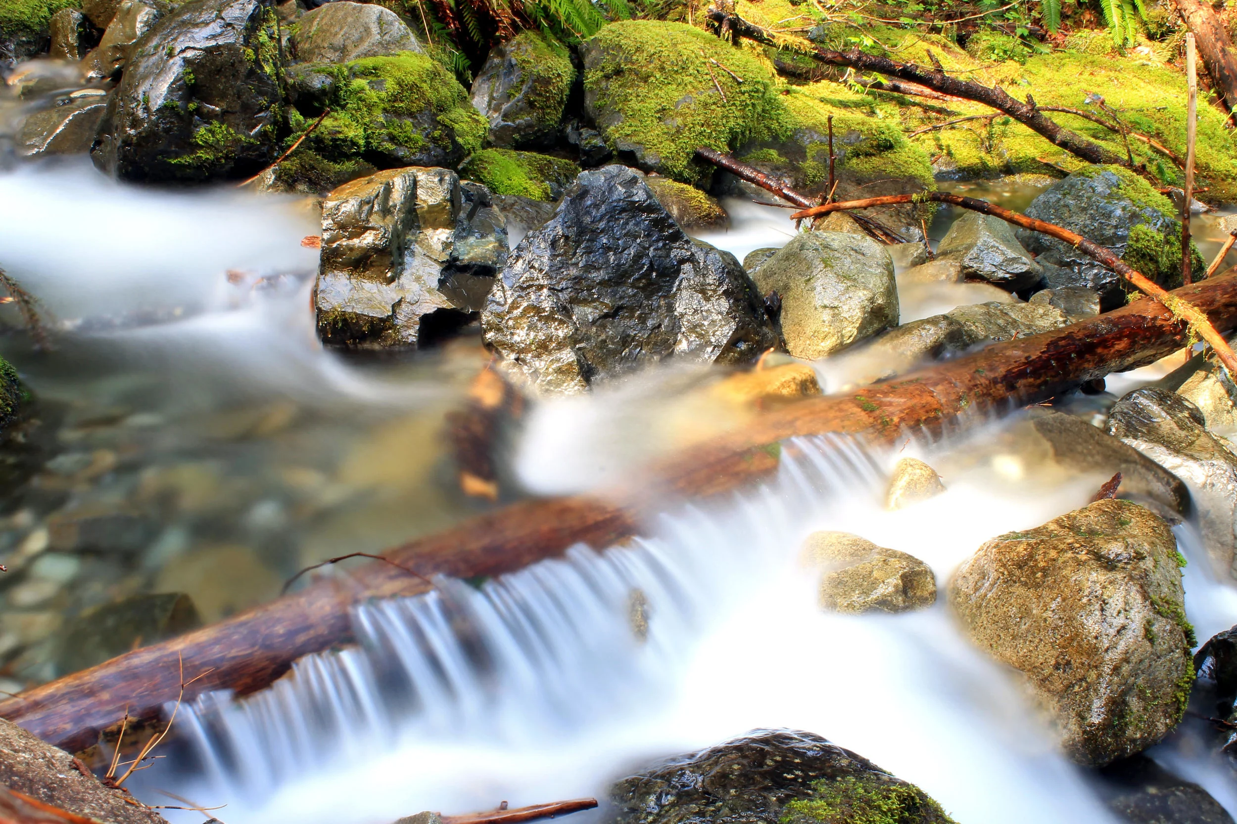 Little North Fork 011 web.JPG