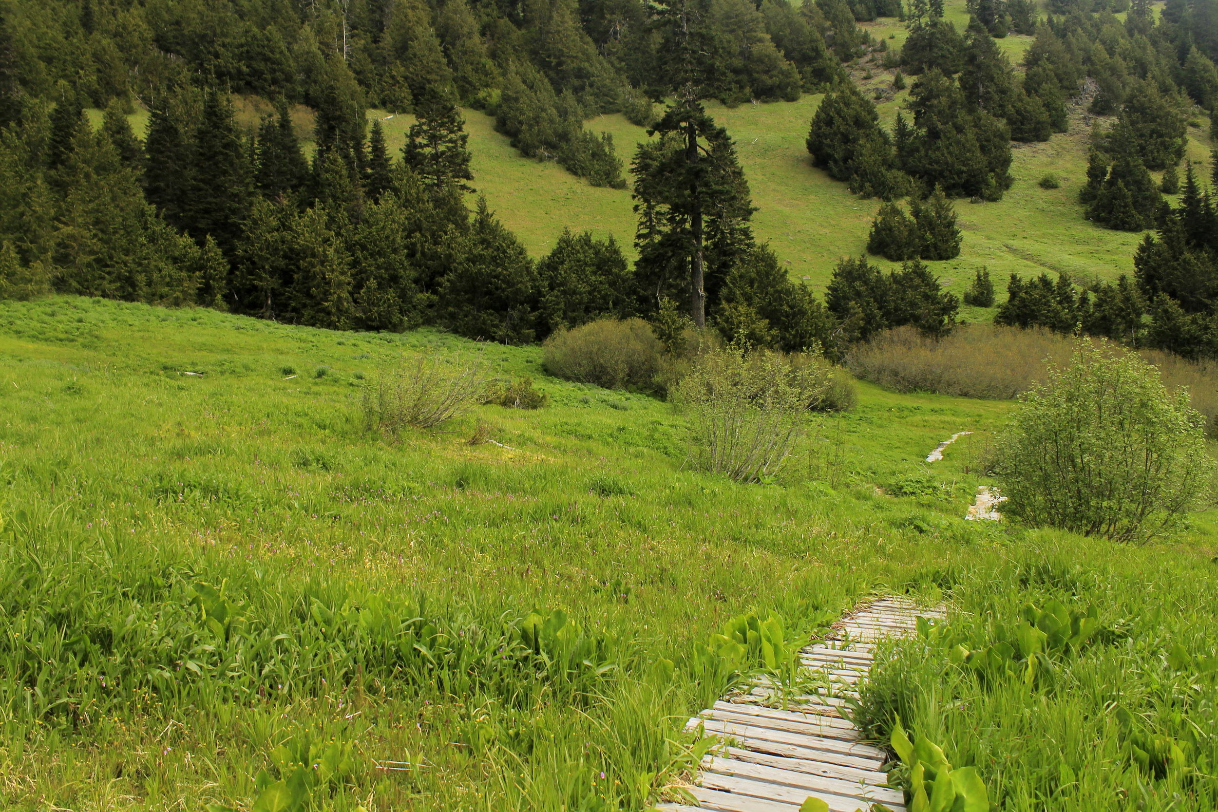 Echo Basin 099 web.JPG