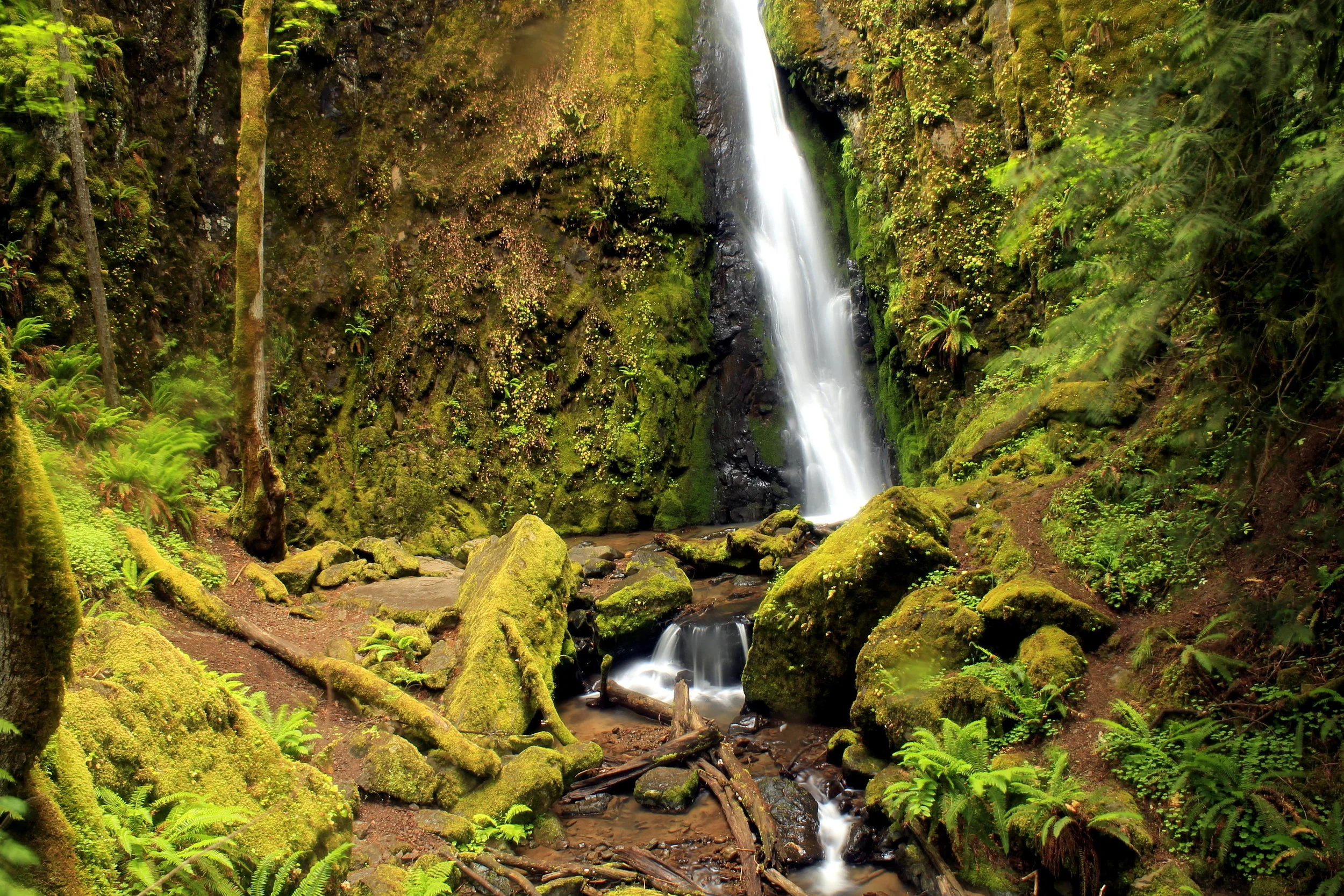 Lower Soda Falls June 2014 web.JPG